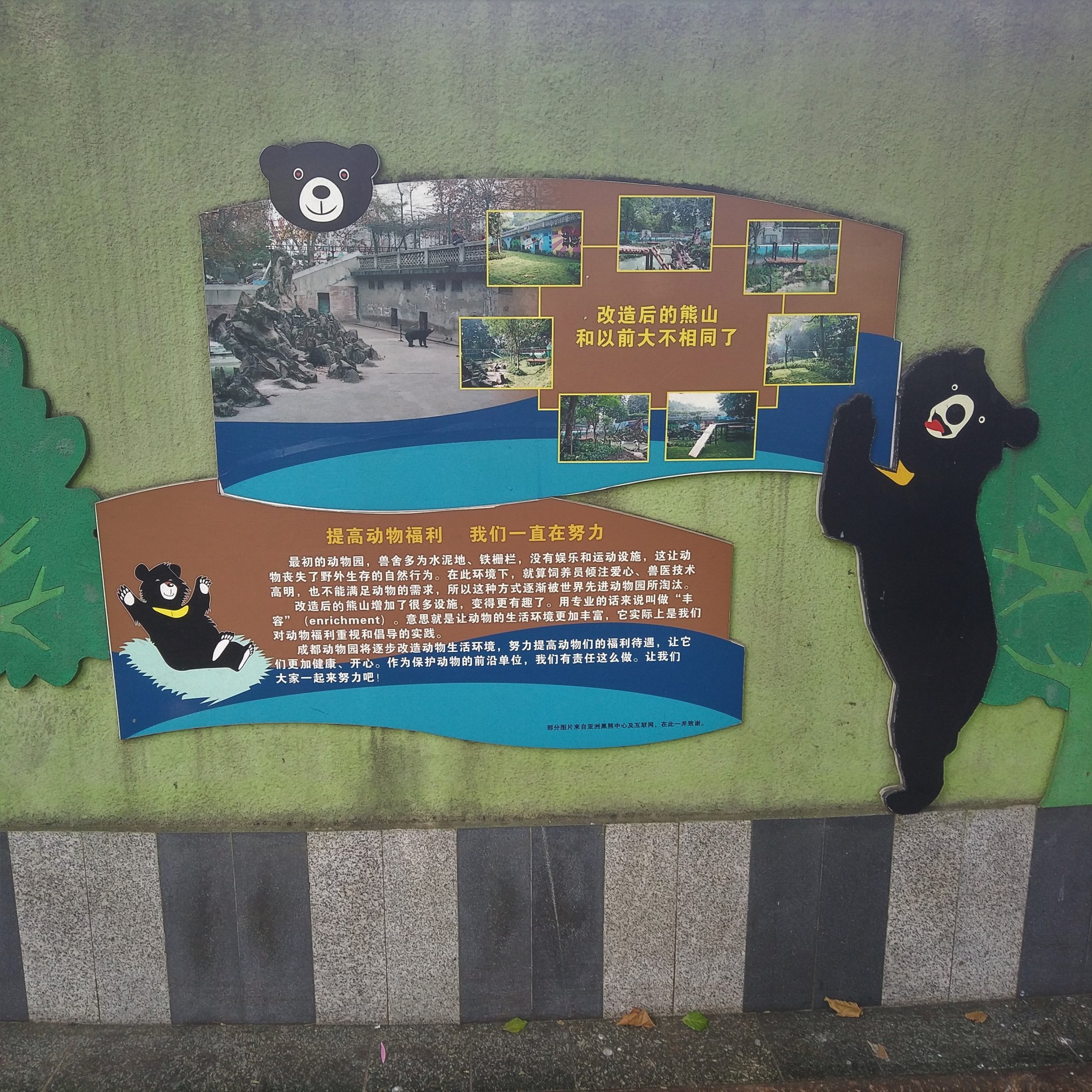 Bear Exhibit Renovation Signage