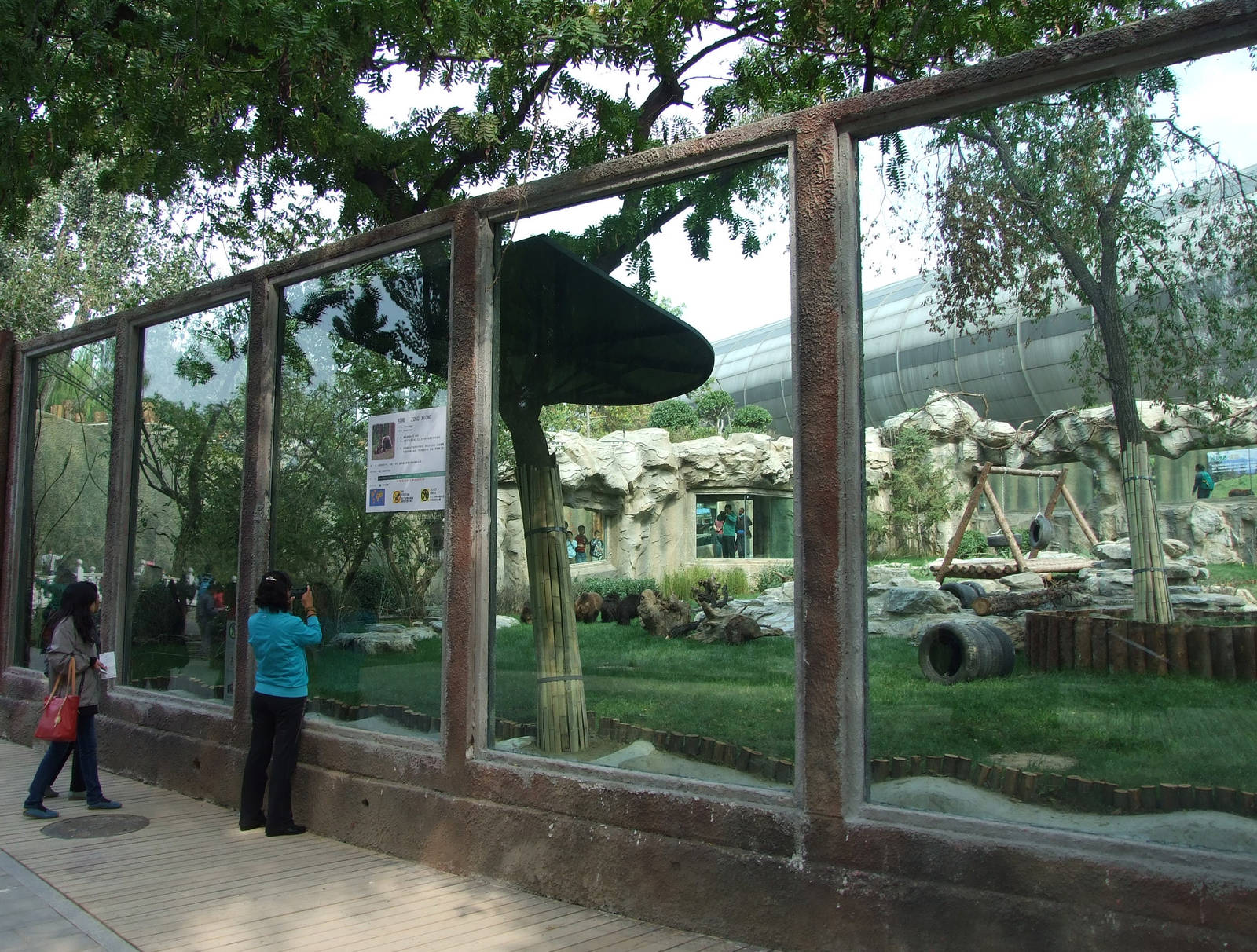Bear exhibit