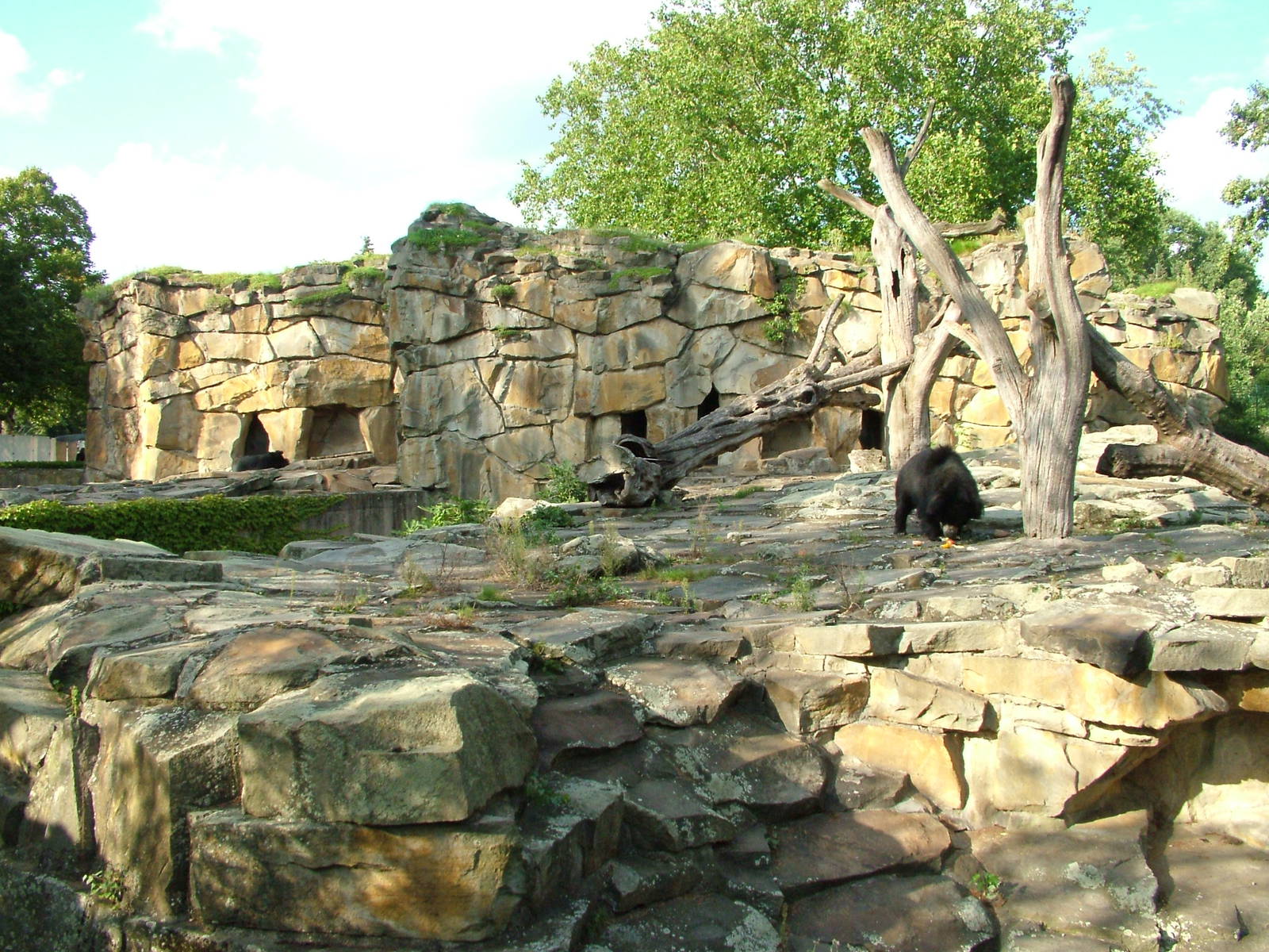 Bear Exhibits at Berlin Zoo, 31/08/11
