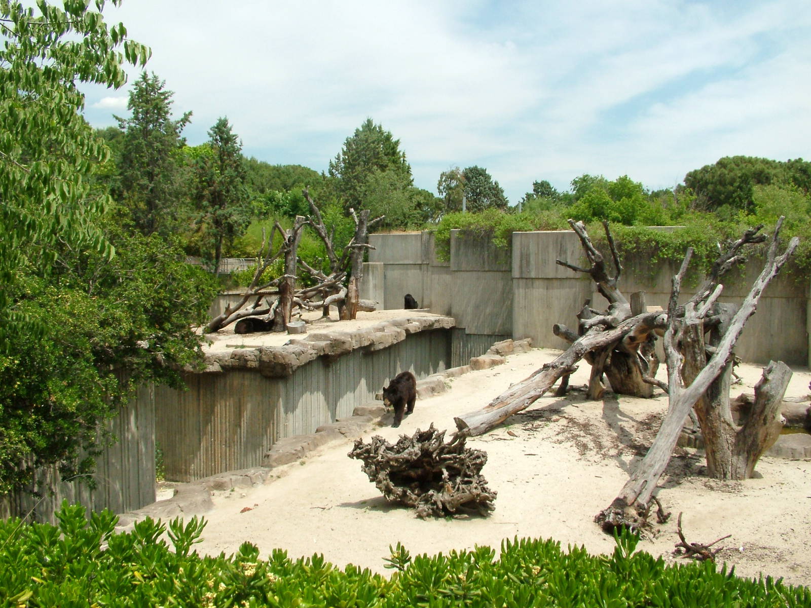 Bear Exhibits at Madrid Zoo Aquarium, 26/05/11