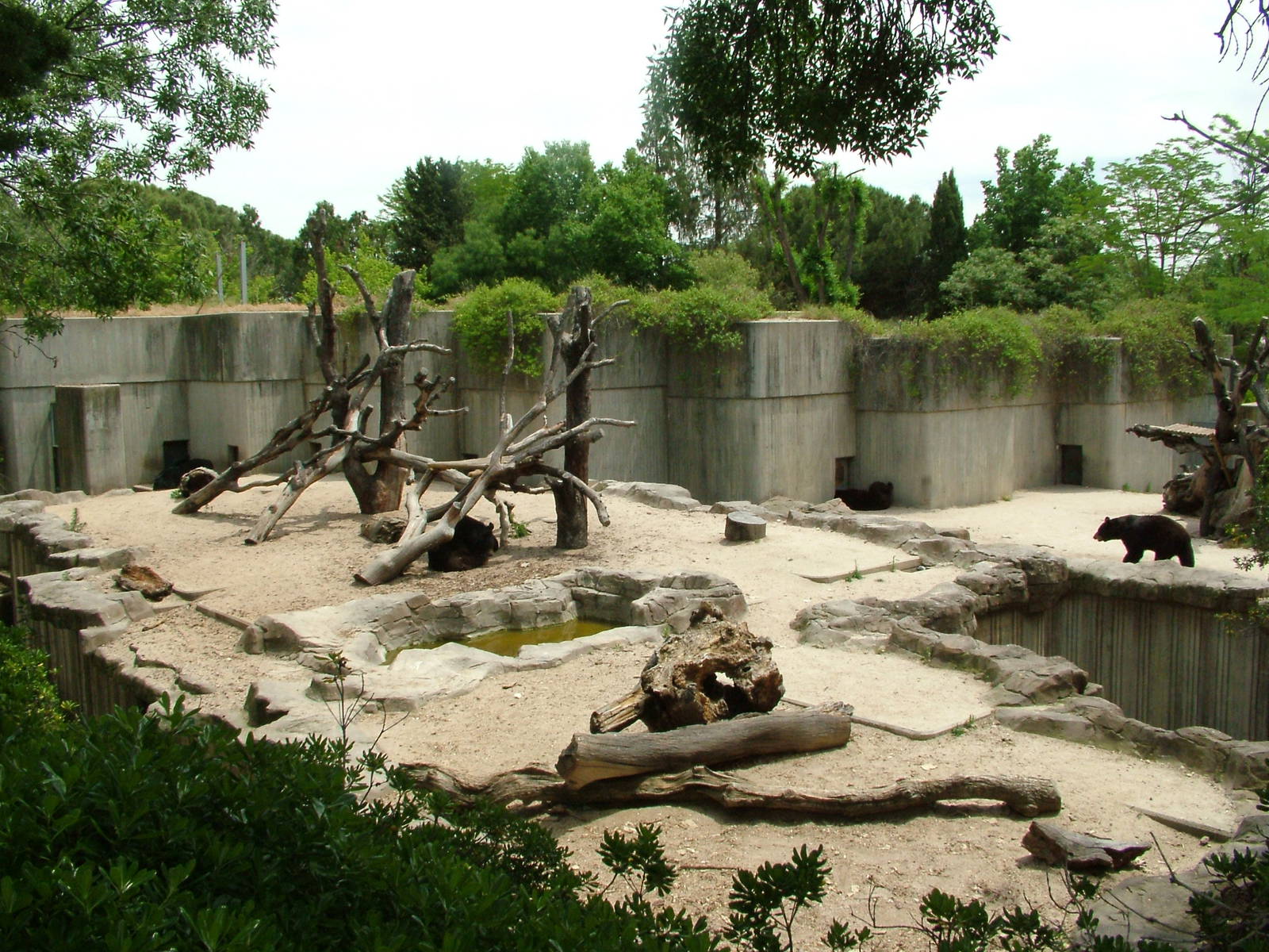 Bear Exhibits at Madrid Zoo Aquarium, 26/05/11