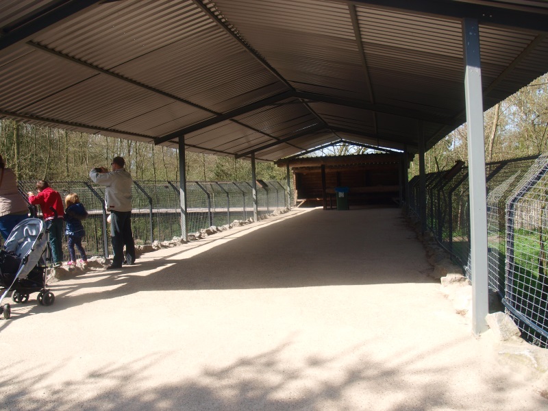 Bear forest and lion enclosures viewing area (April 19th, 2015)