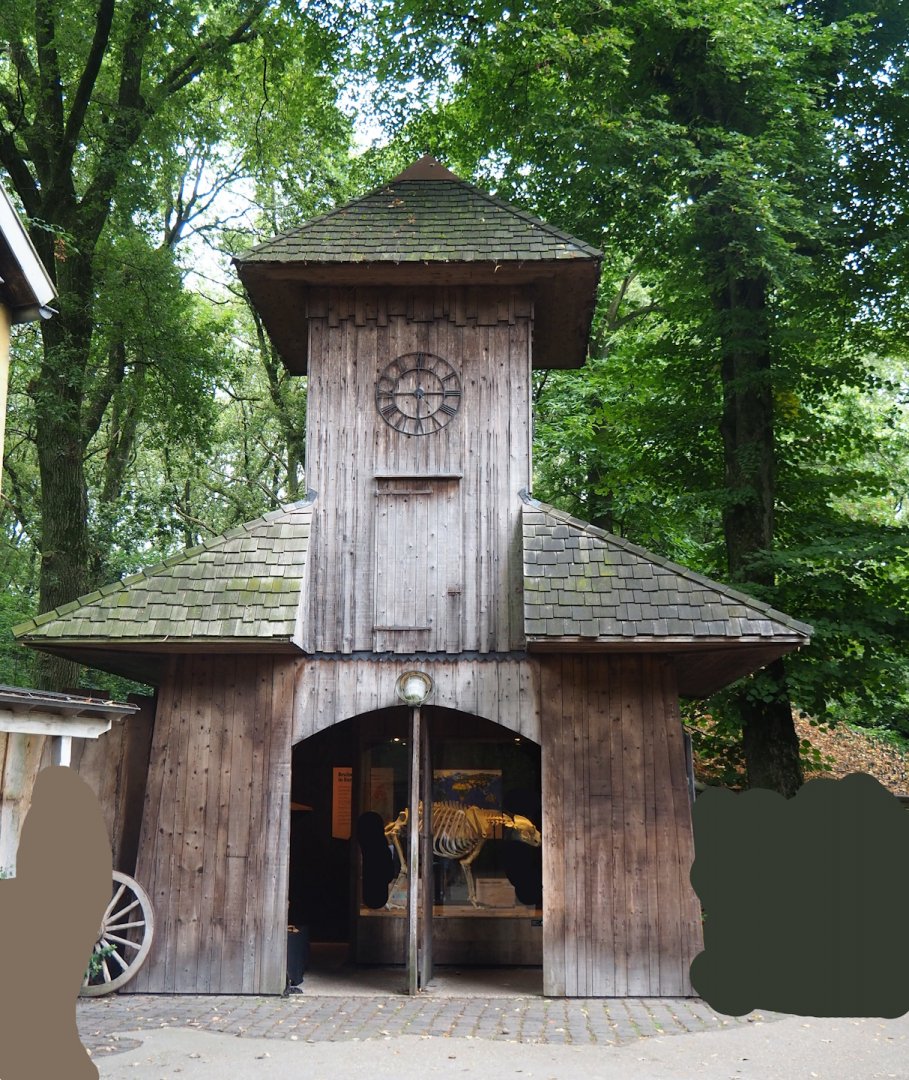 Bear forest area - Bear education cabin in Carpathian village, 2023-08-17