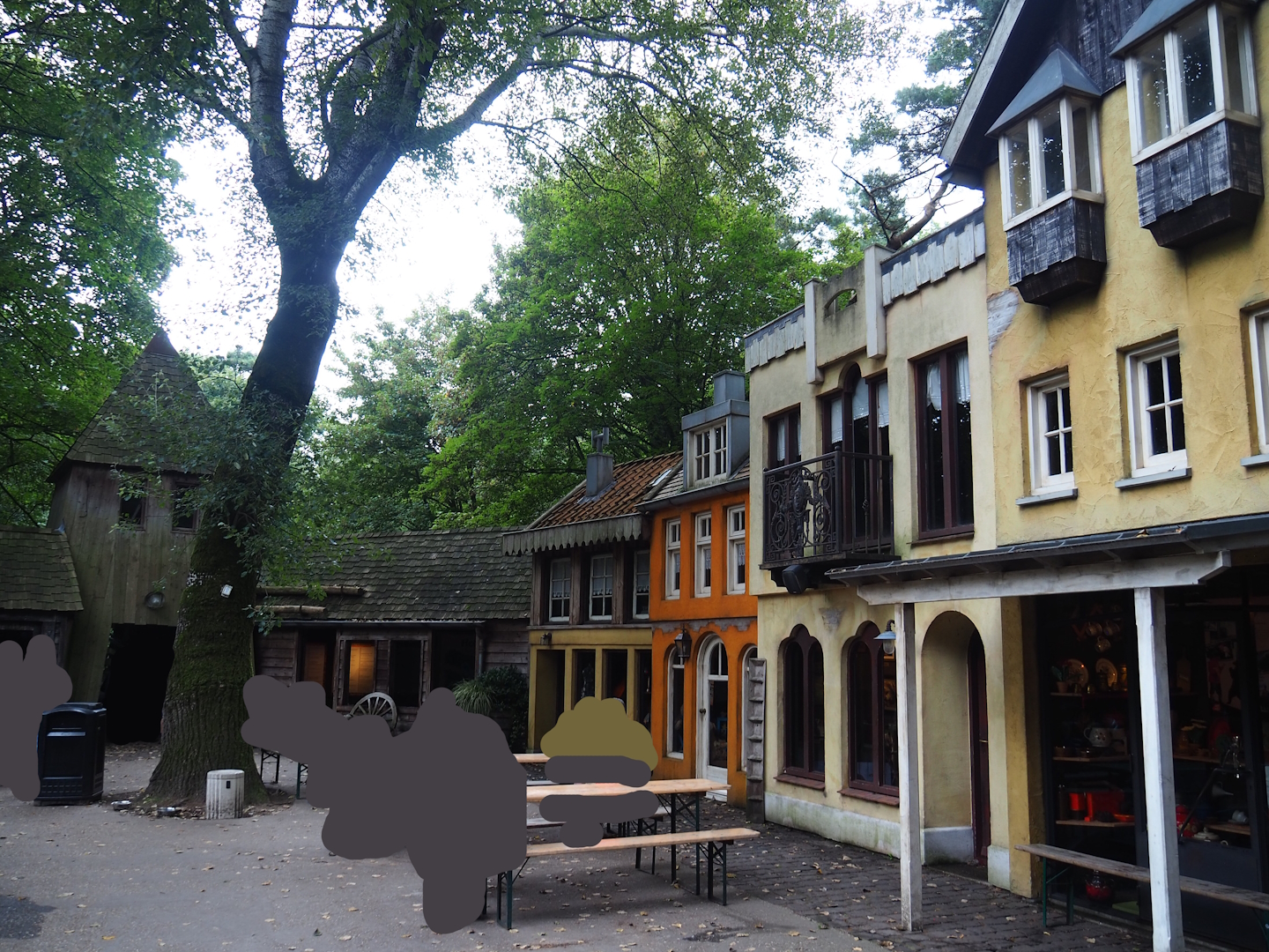 Bear forest area - Carpathian village, 2023-08-17