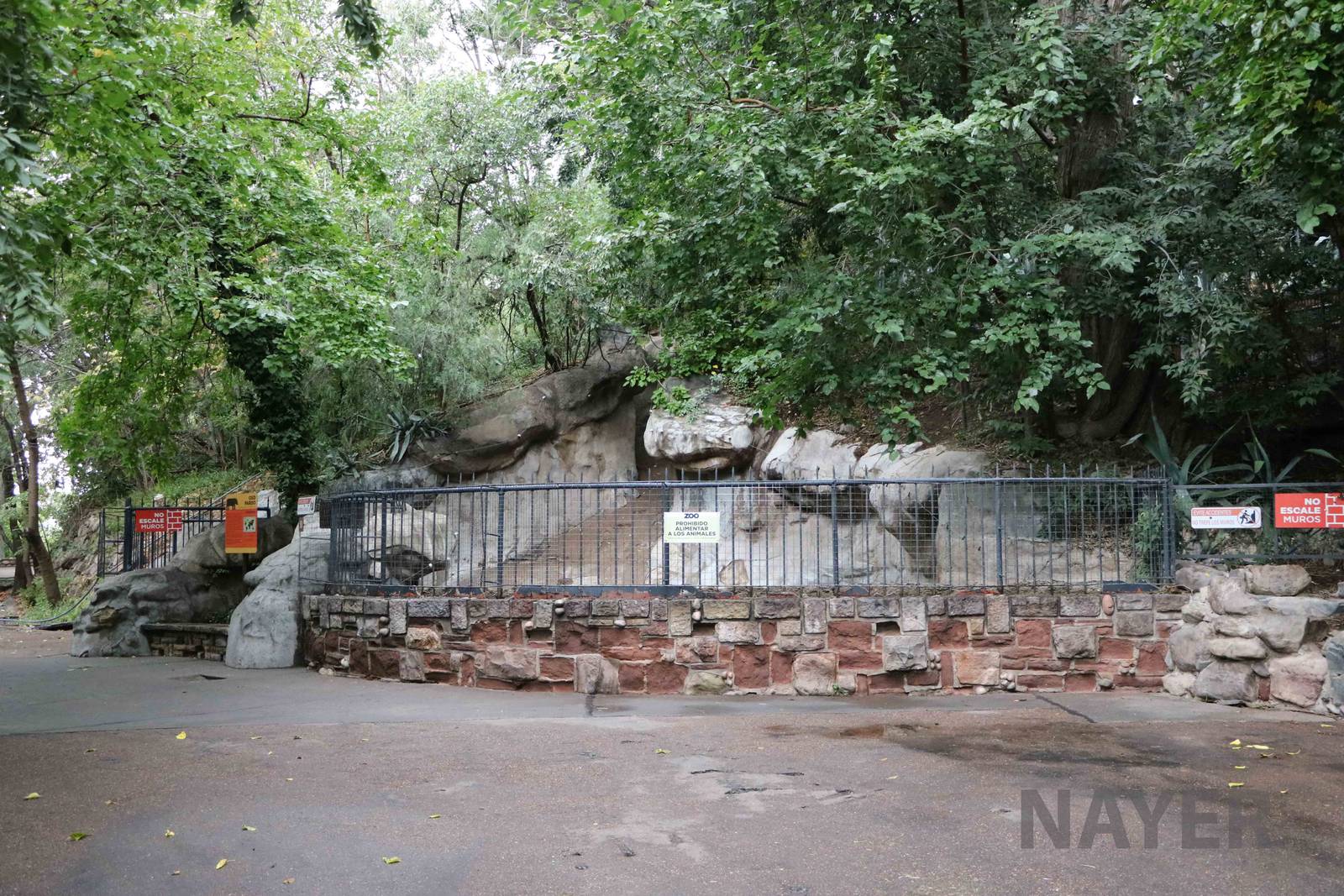 Bear grotto - Mendoza Zoo, April 2016