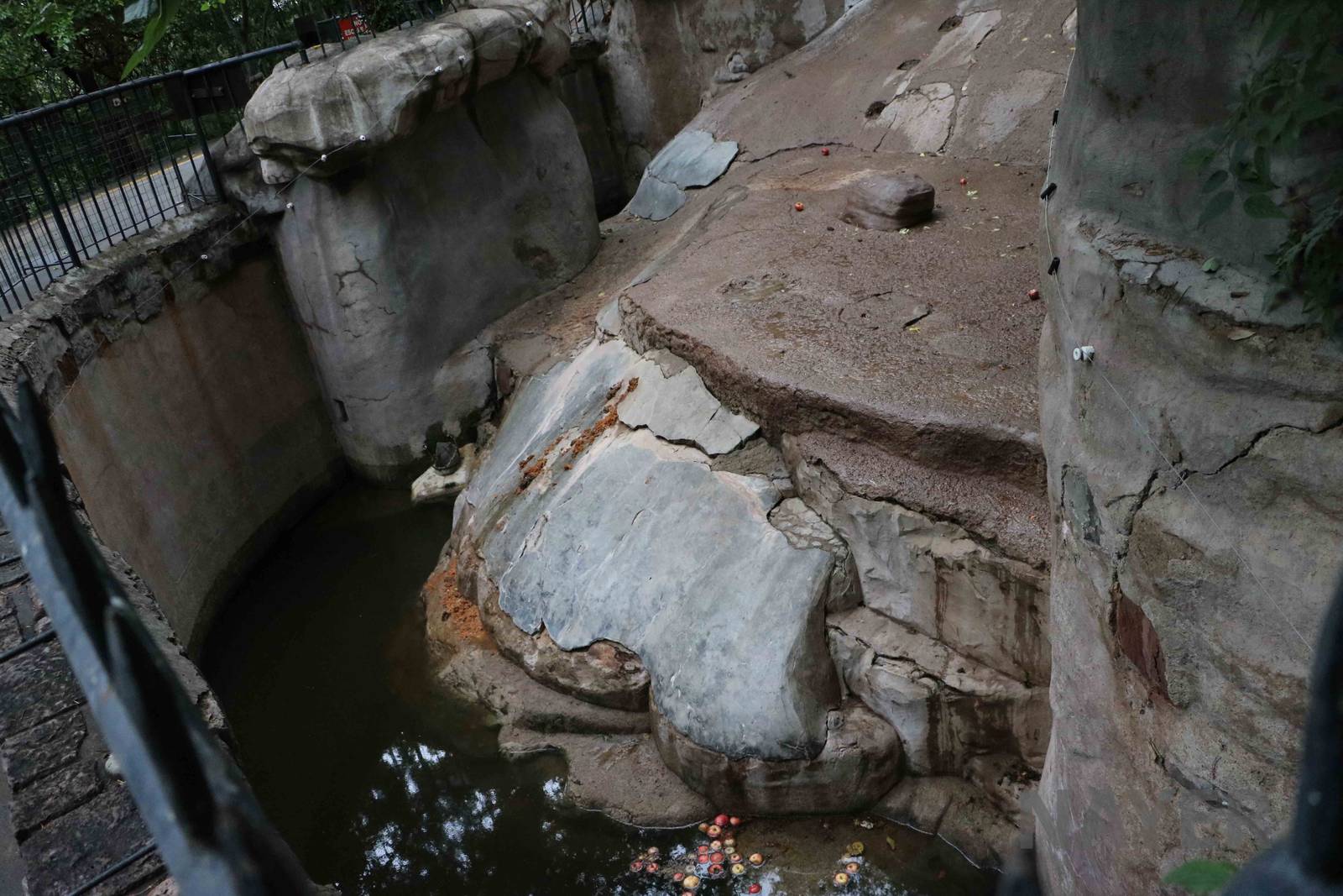 Bear grotto - Mendoza Zoo, April 2016