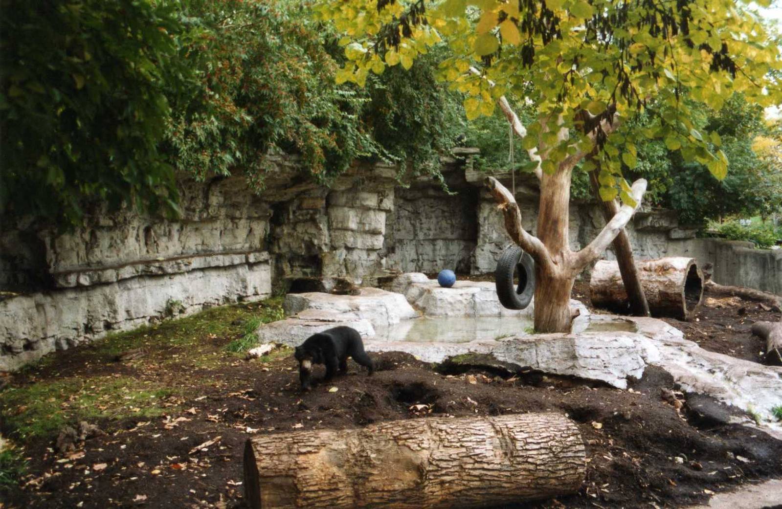 Bear Grotto with natural ground