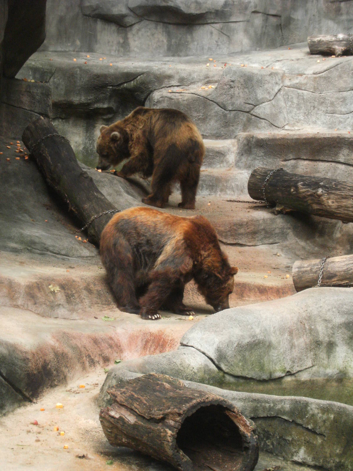 Bear Grotto