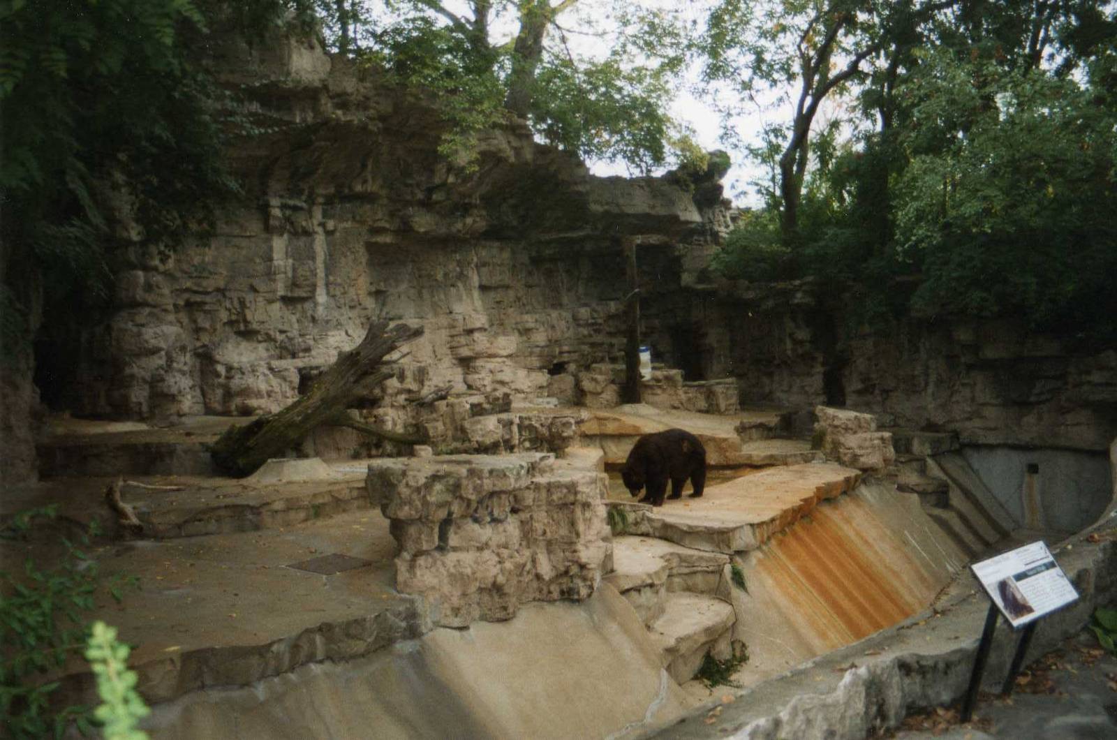 Bear Grotto