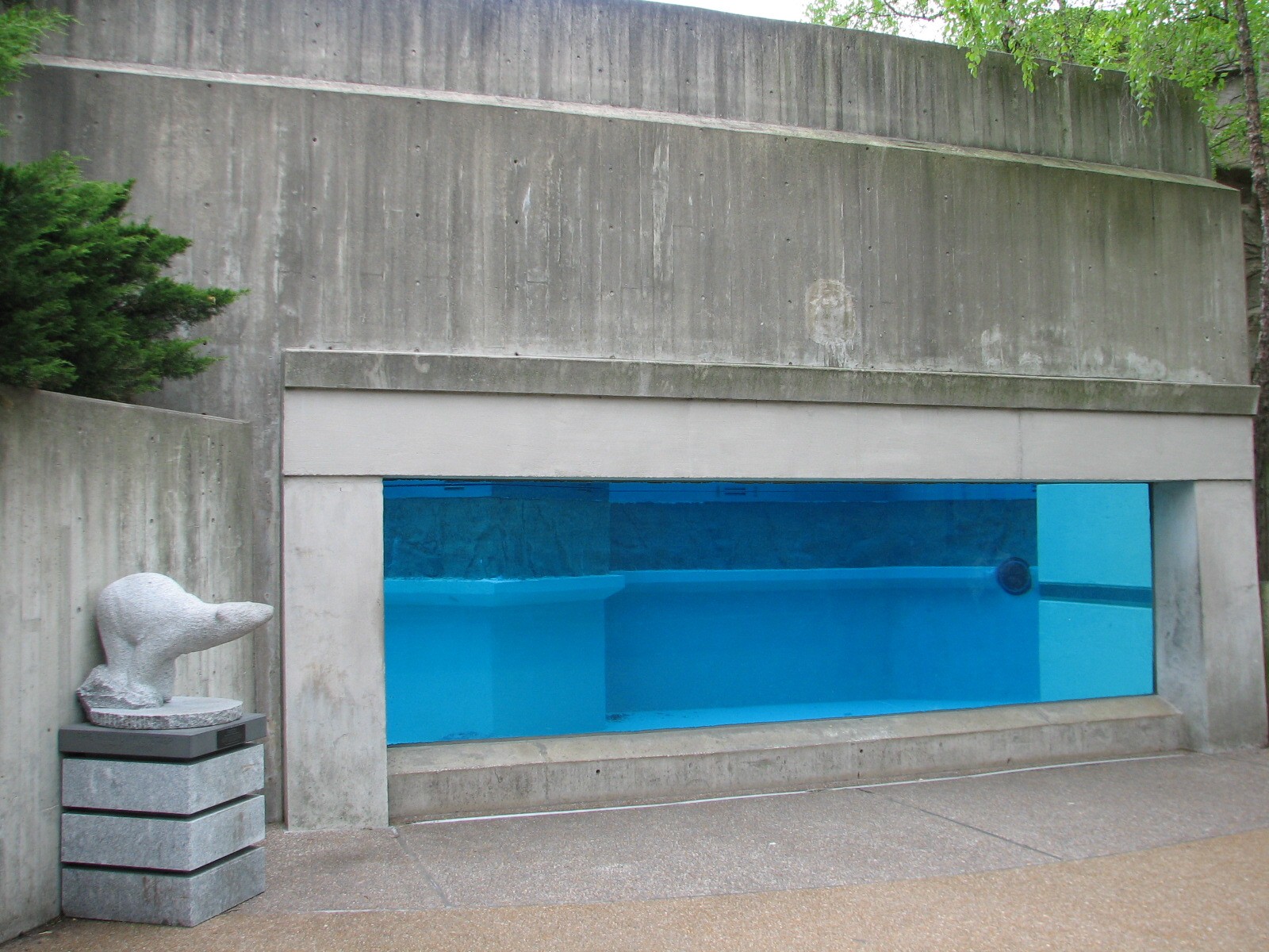 Bear Habitat - Polar Bear Exhibit