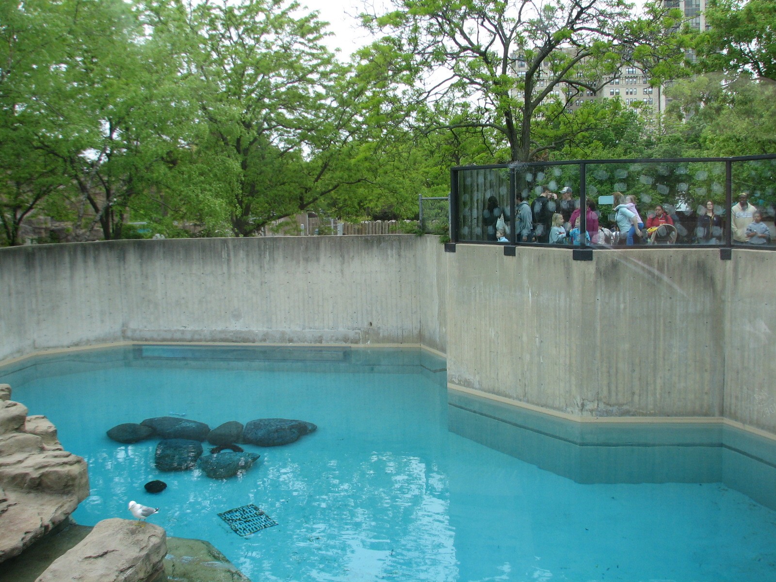 Bear Habitat - Polar Bear Exhibit