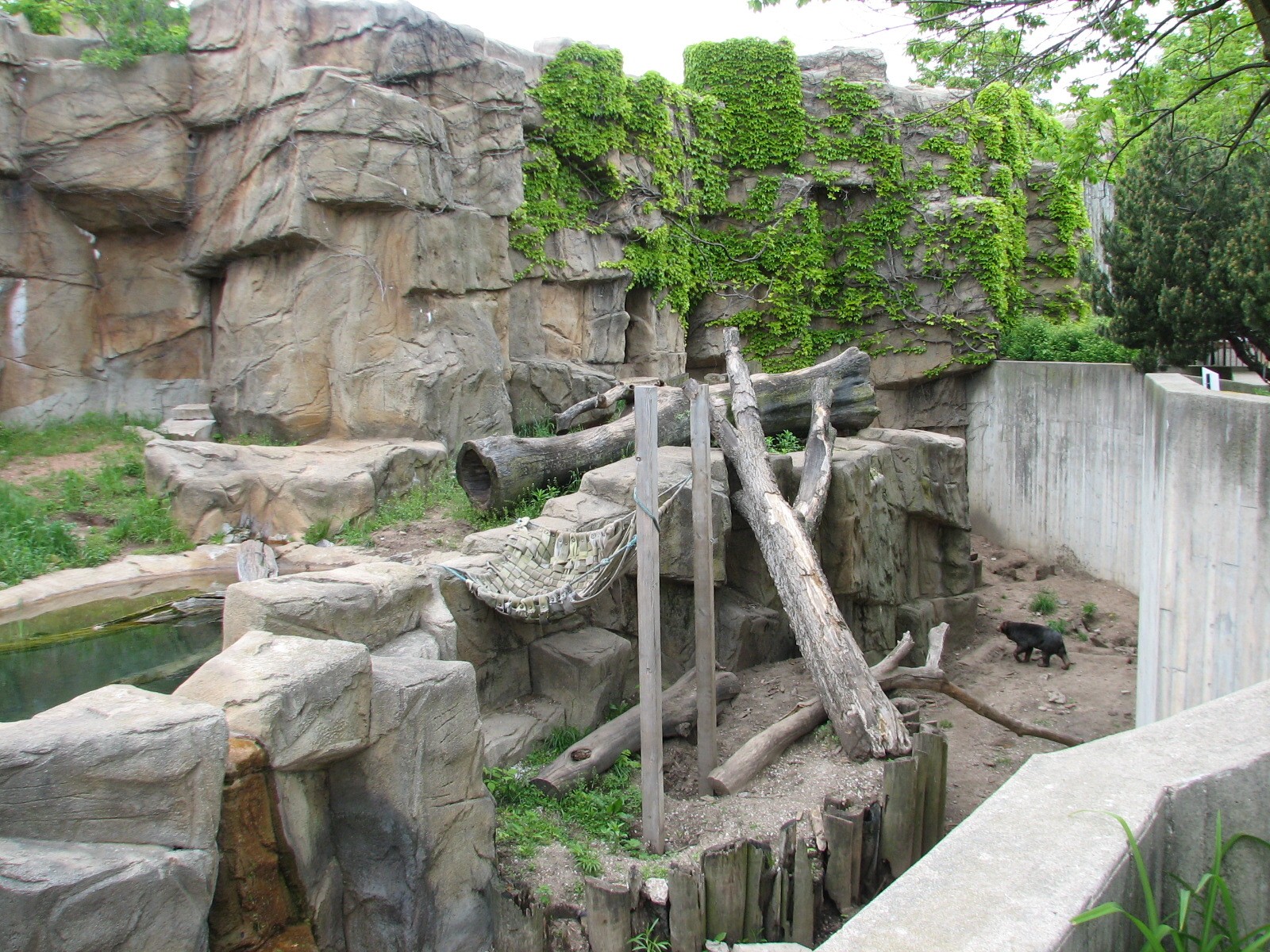 Bear Habitat - Sun Bear Exhibit