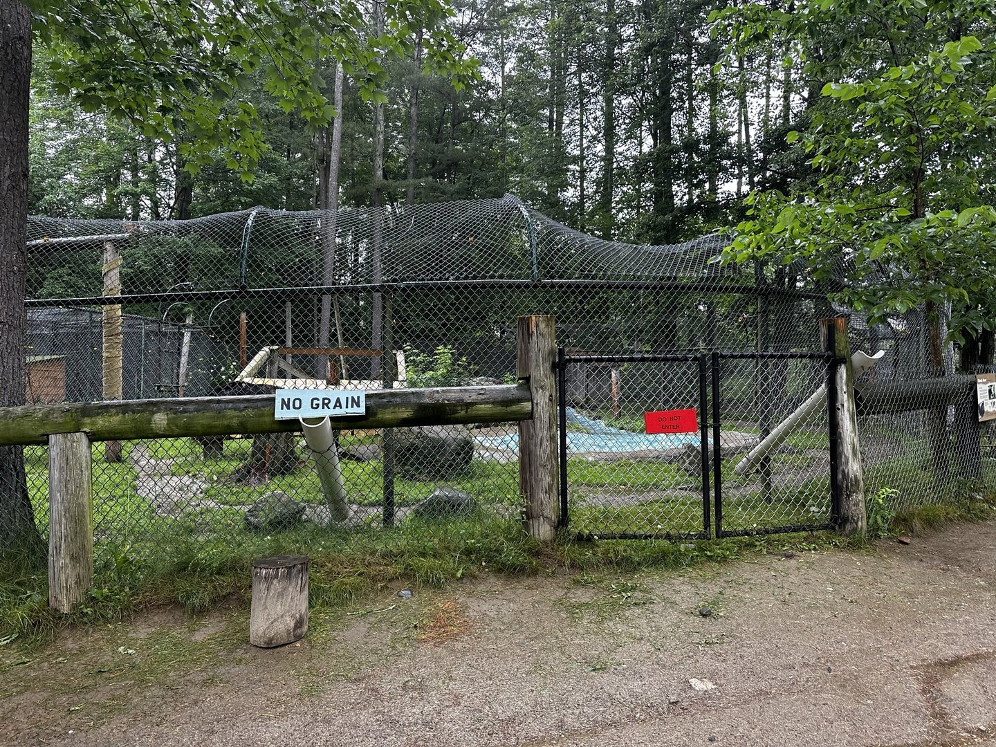 Bear Habitat, you can feed it apparently, but not grain?