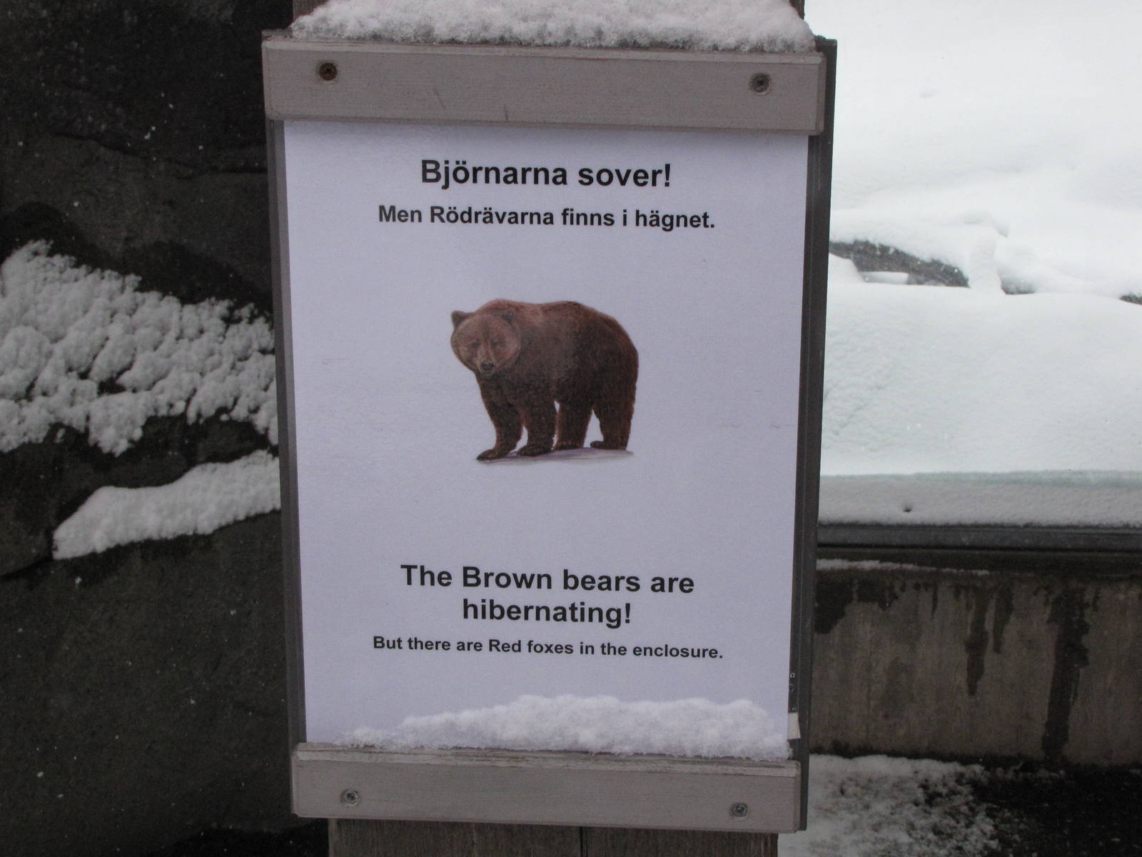 Bear hibernating sign at Skansen