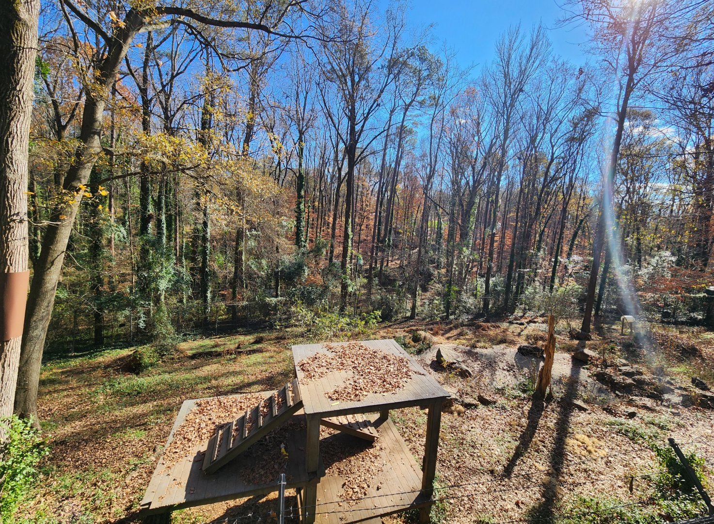 Bear Hollow Zoo - Bear enclosure