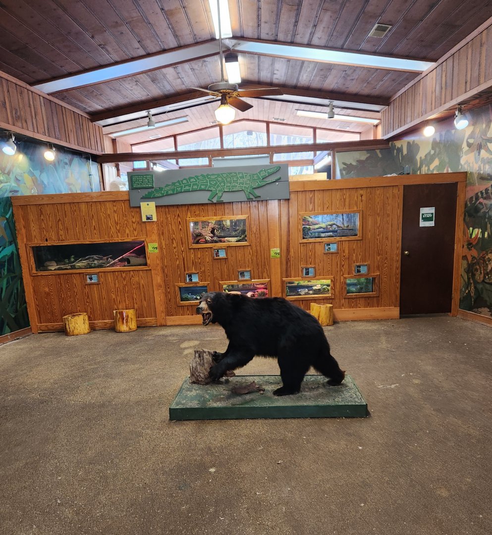 Bear Hollow Zoo - Inside reptile house