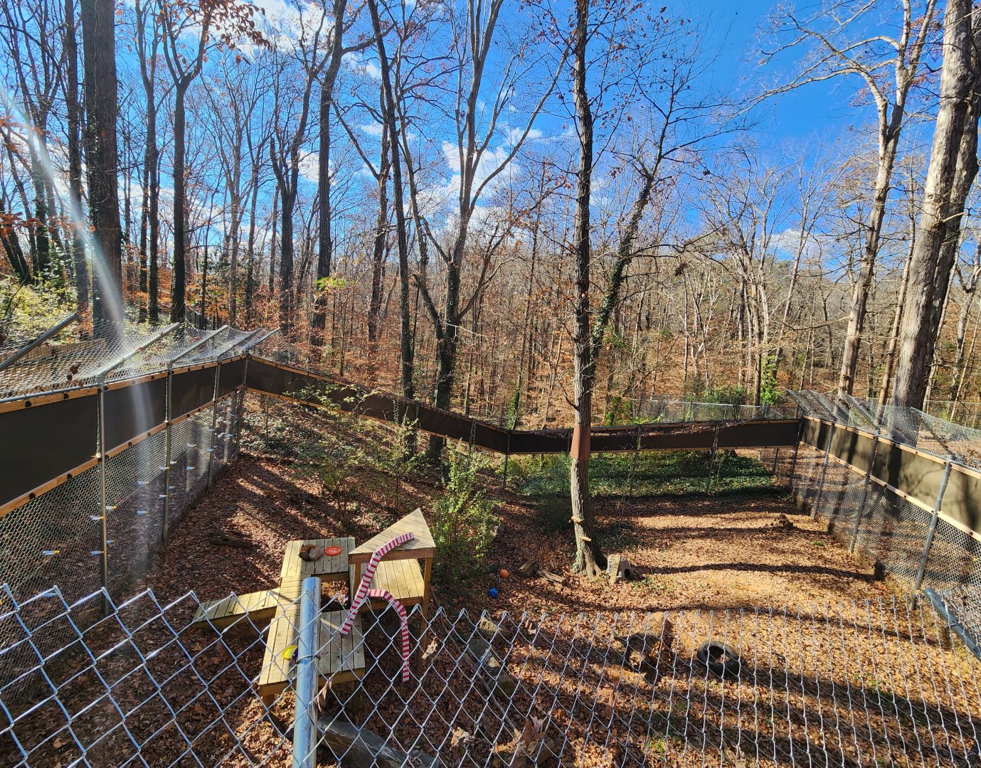 Bear Hollow Zoo - Red Fox enclosure