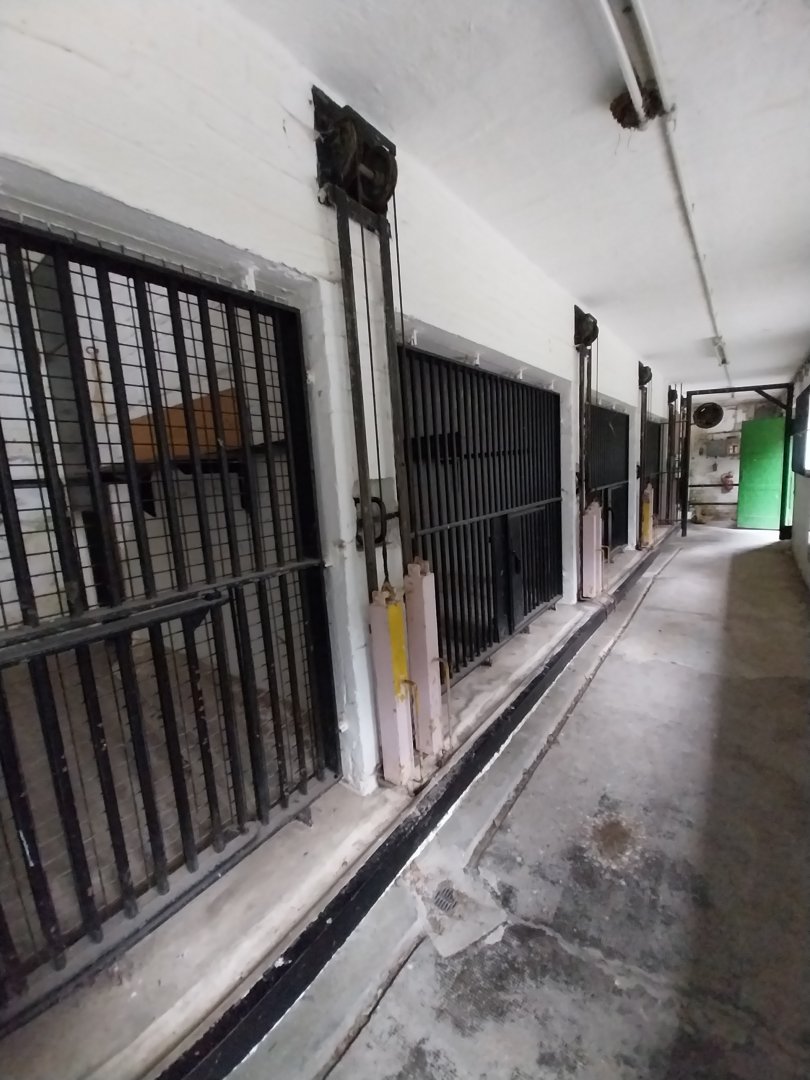 Bear House (not in use)