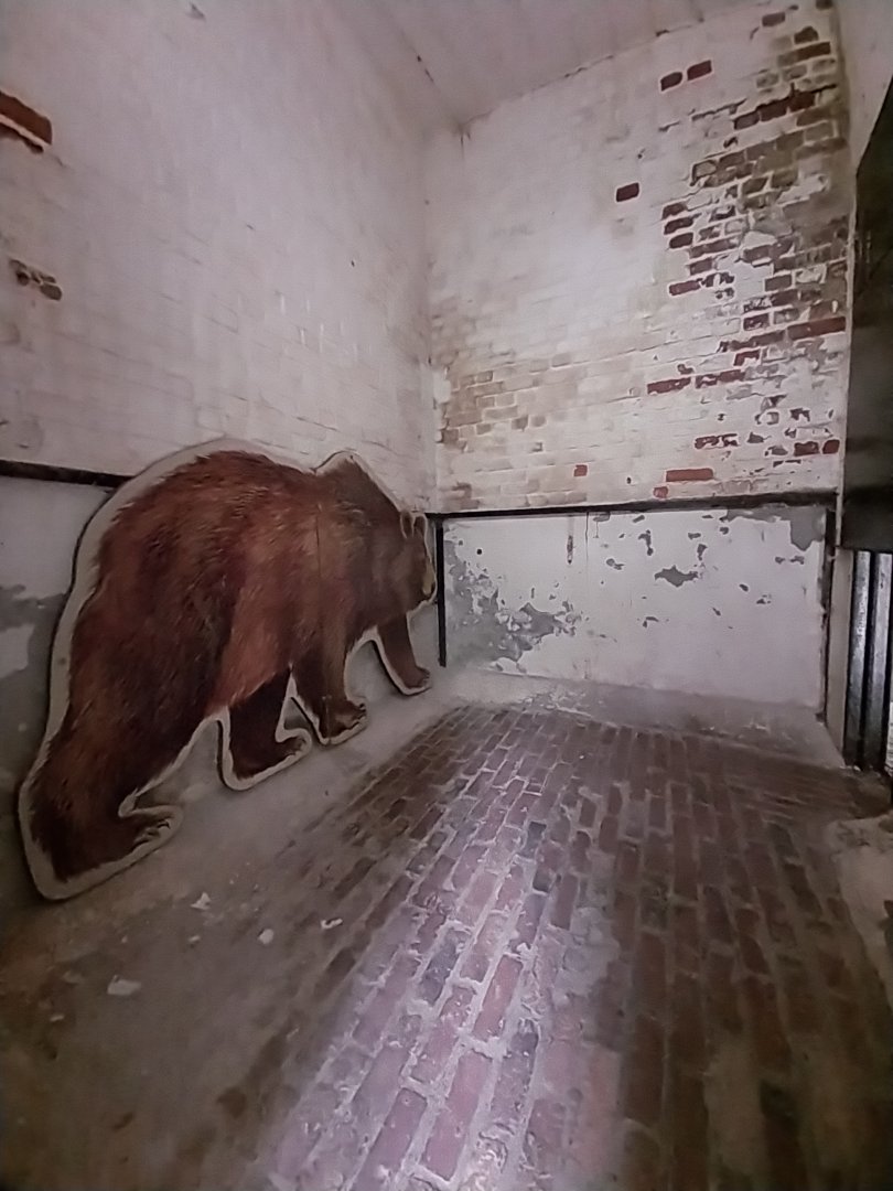 Bear House (not in use)