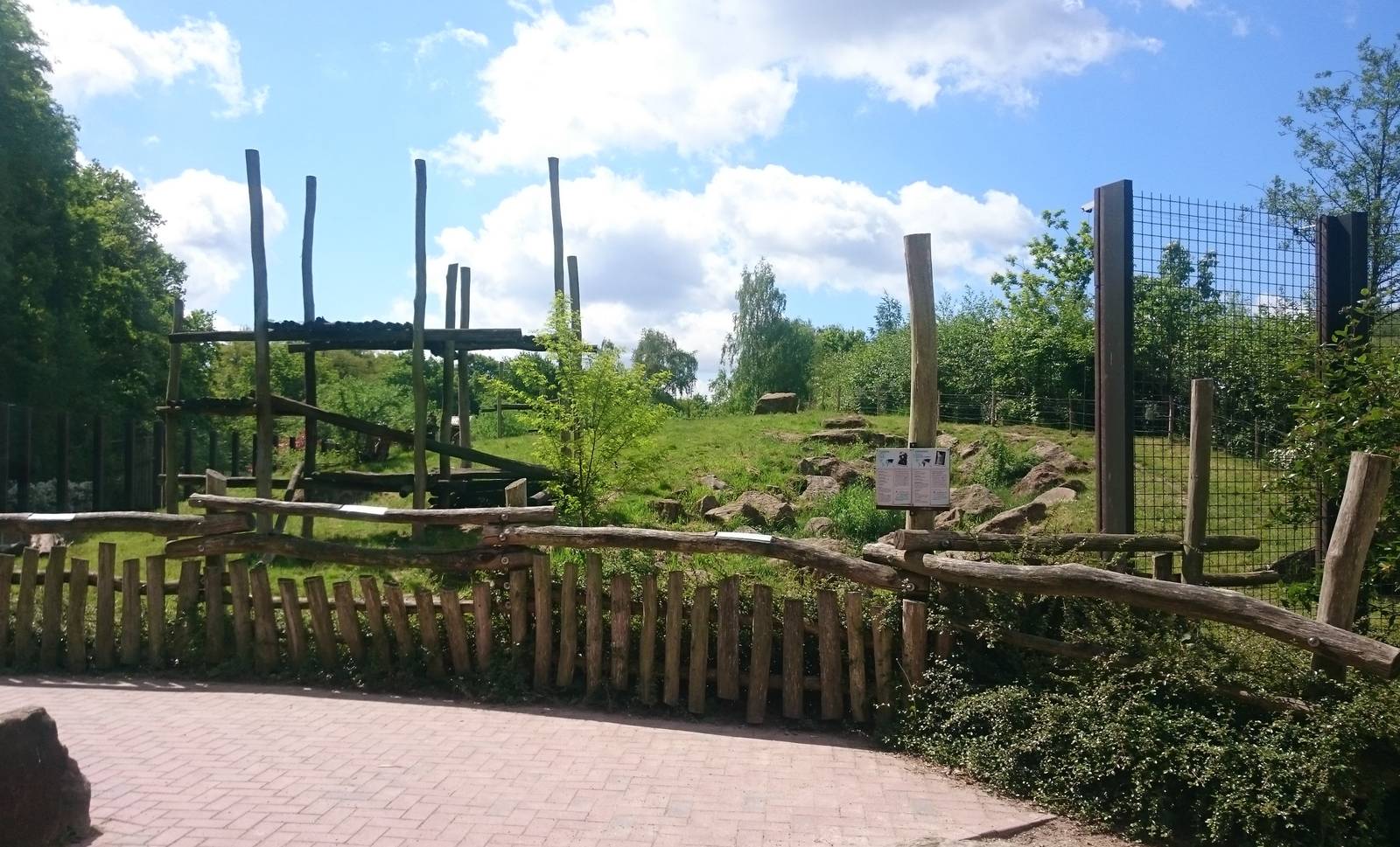 Bear - Jackal enclosure