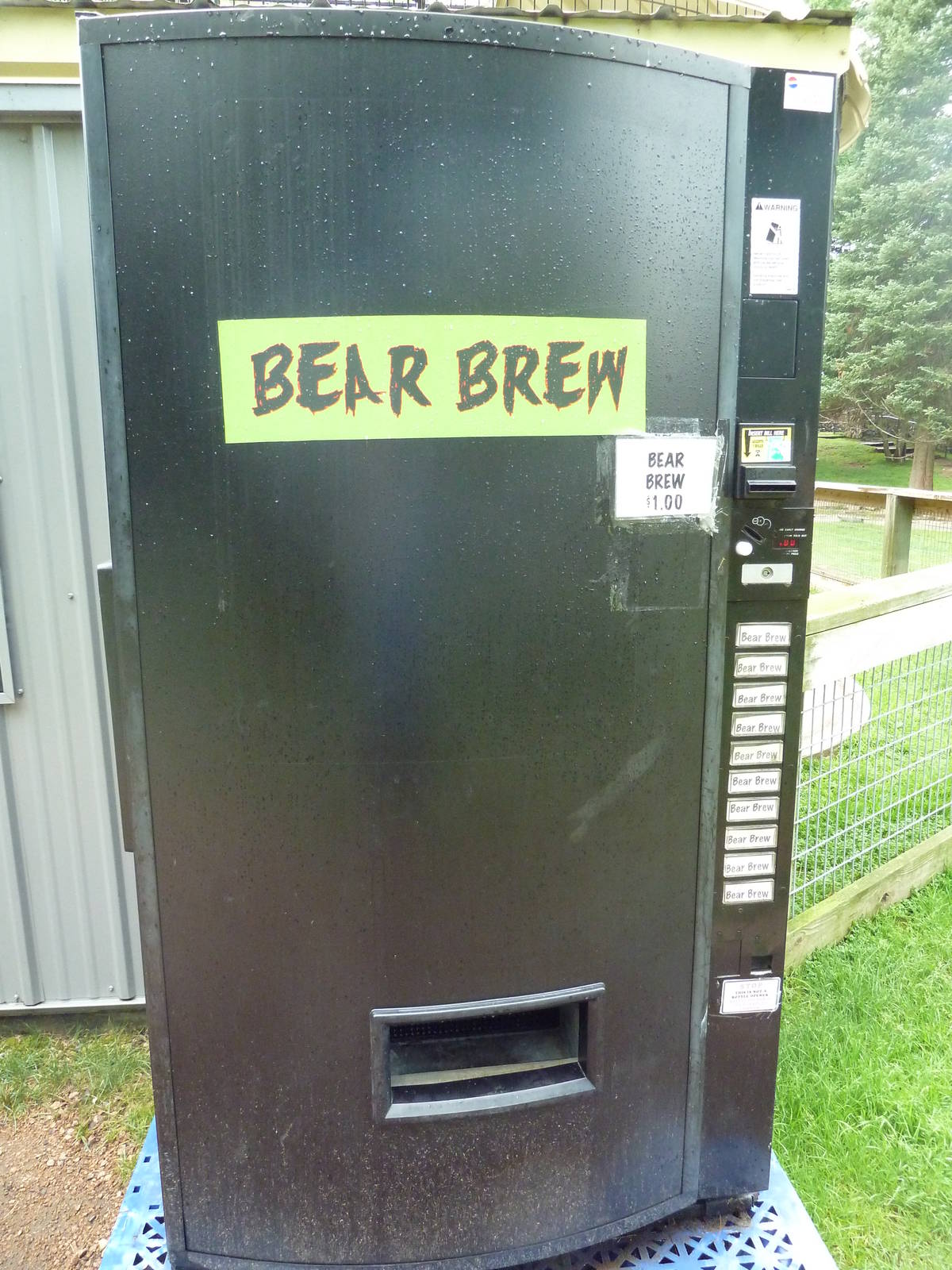 Bear Juice Dispenser