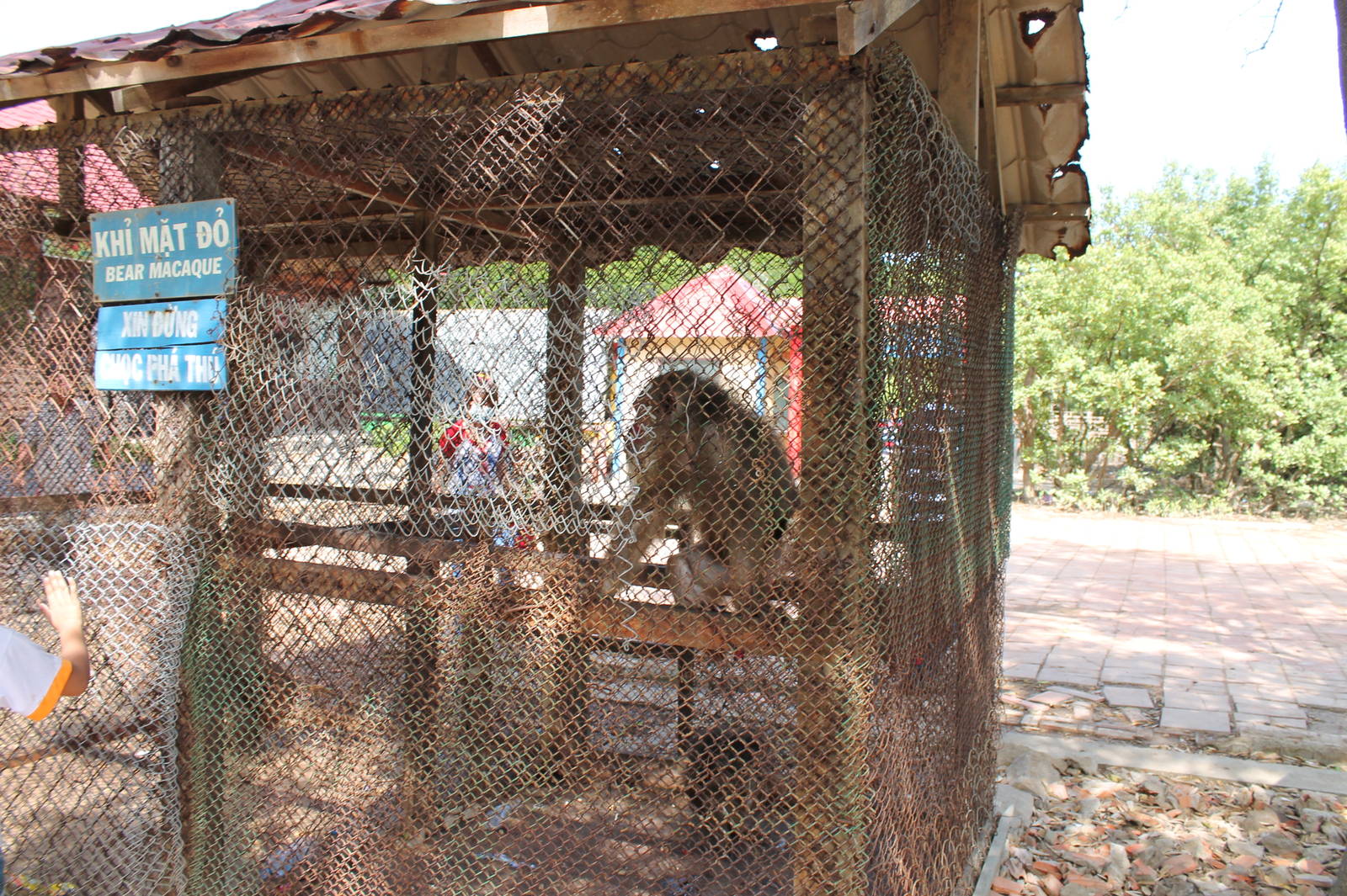Bear Macaque Cage - Can Gio Island