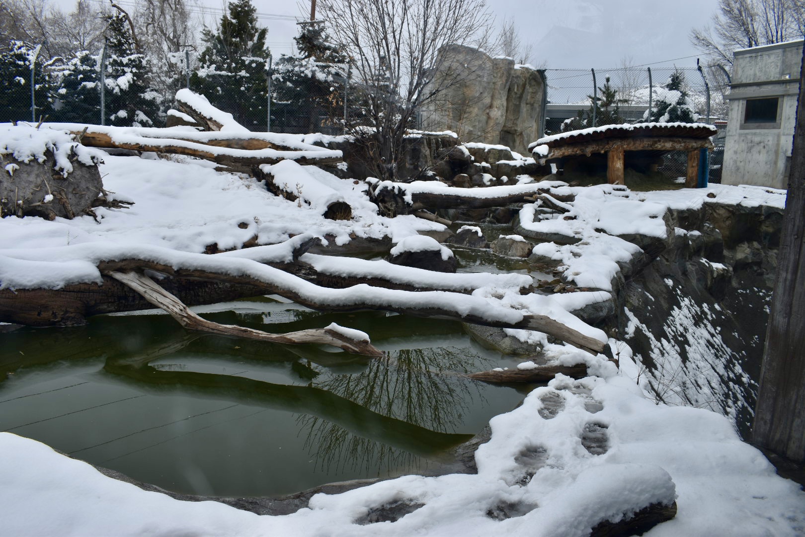 Bear Meadow - Rocky Shores