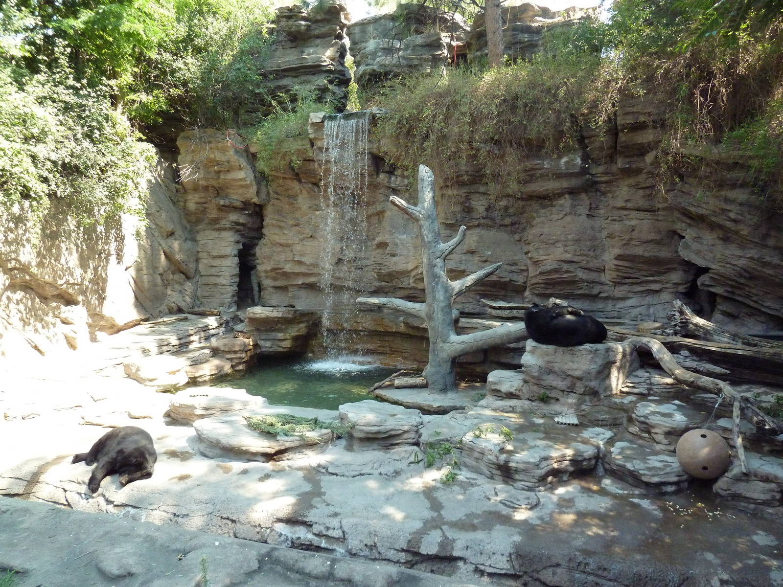 Bear Mountain - Asiatic Black Bear Grotto