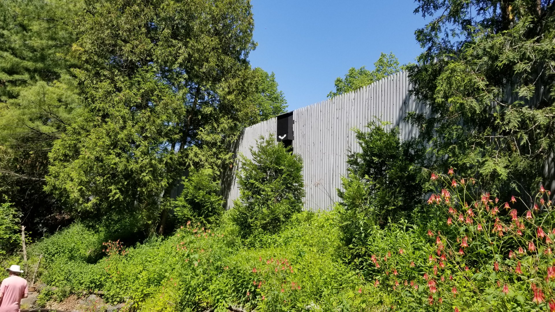 Bear Mountain - Bat box