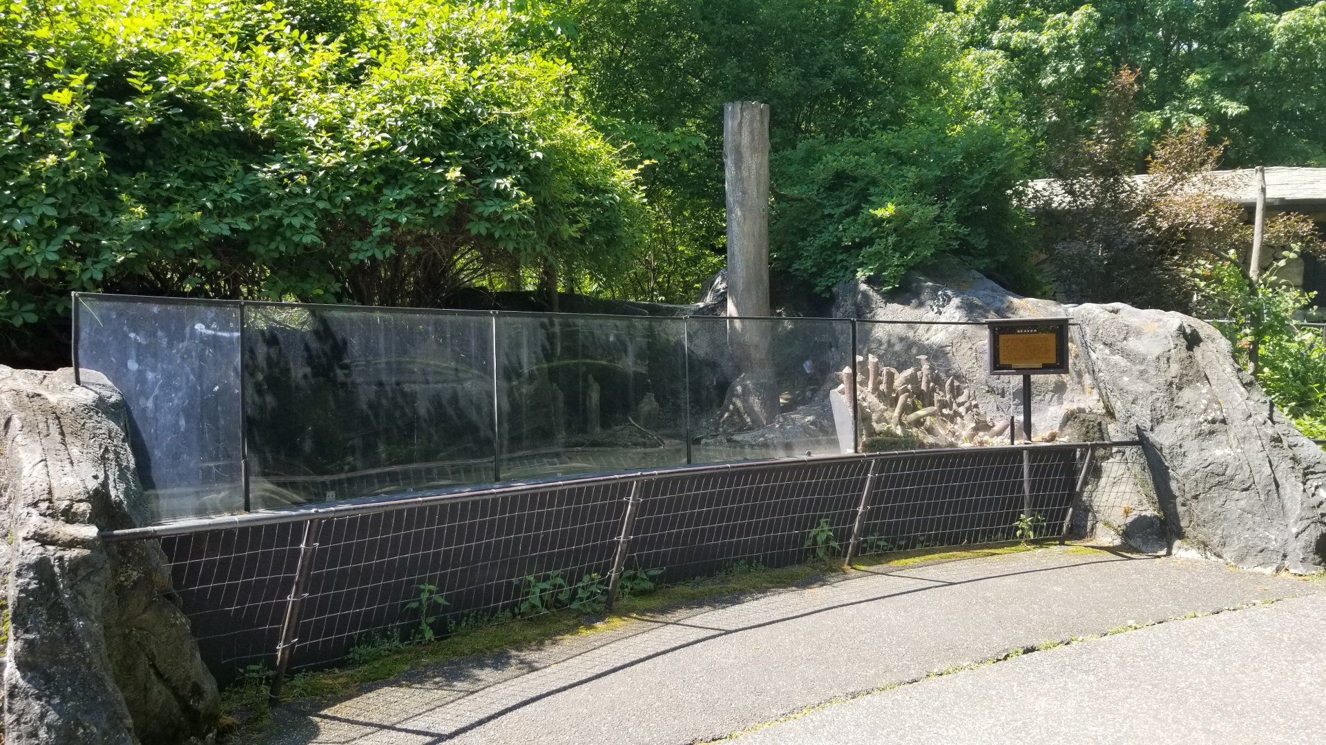 Bear Mountain - Beaver