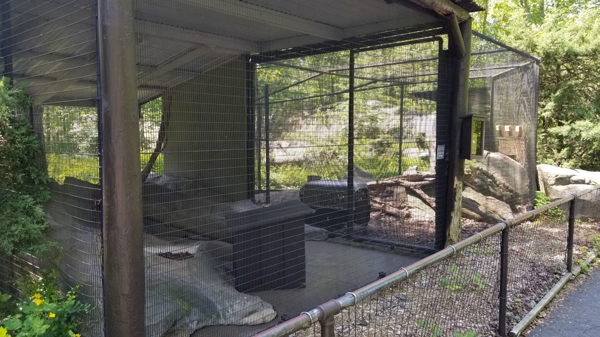 Bear Mountain - Bobcat