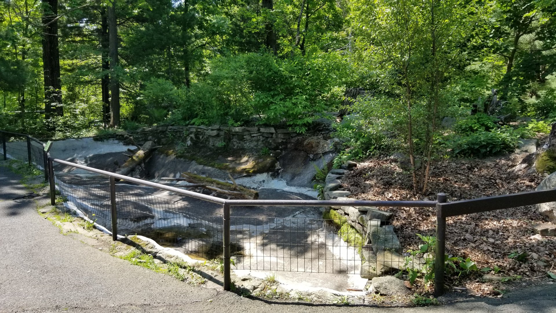 Bear Mountain - Empty exhibit