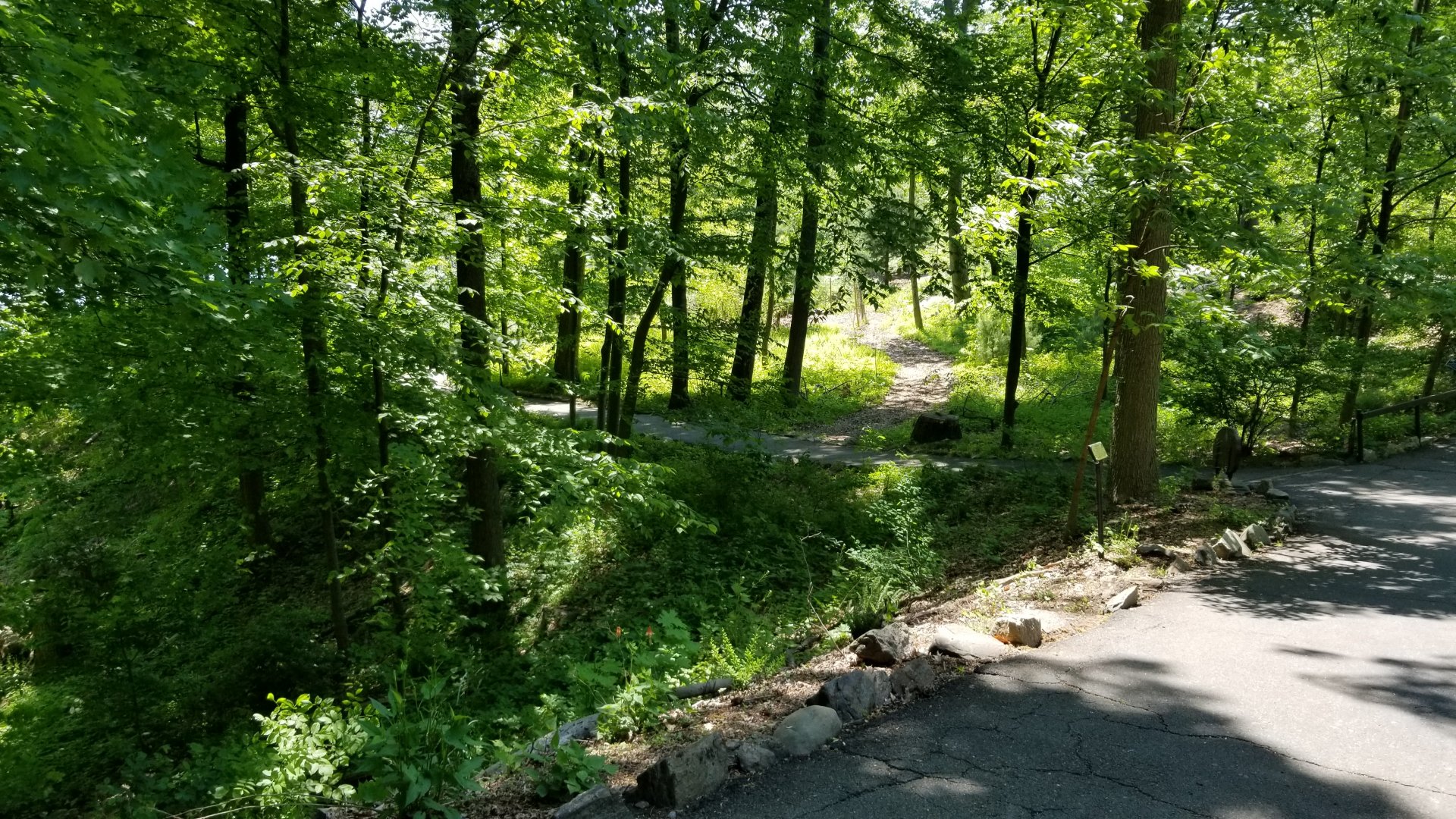 Bear Mountain - Geology trail