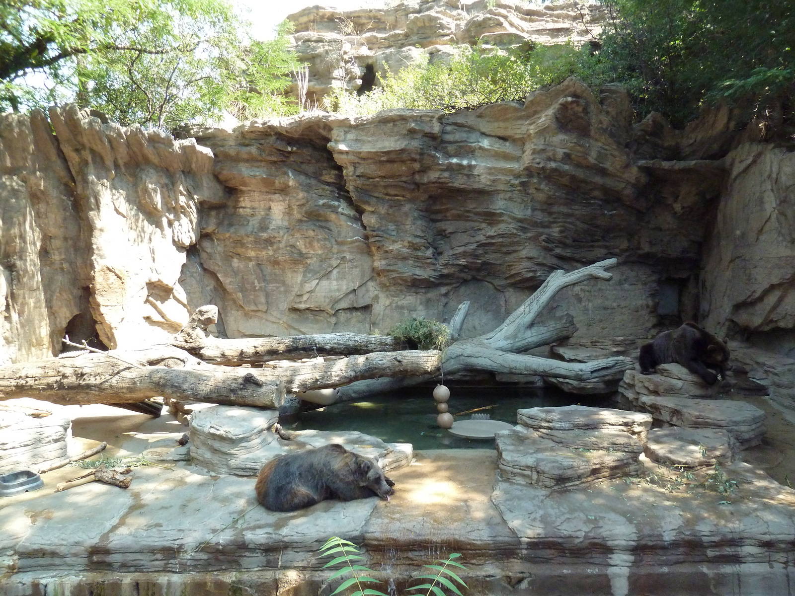 Bear Mountain - Grizzly Bear Grotto