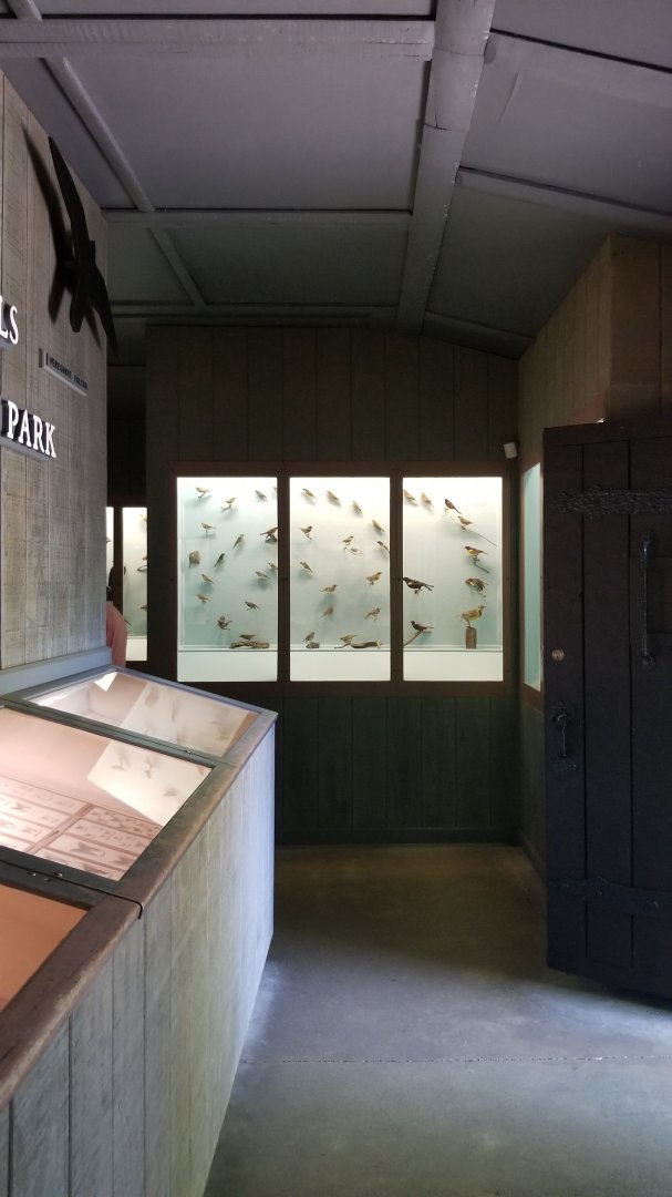 Bear Mountain - Inside museum