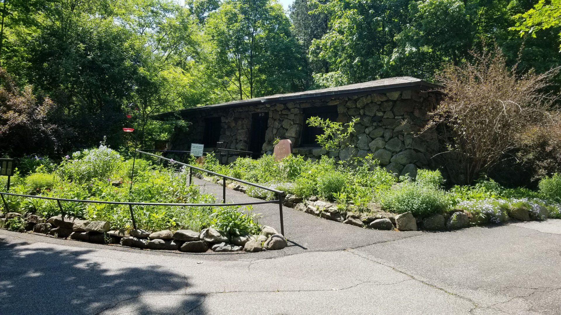Bear Mountain - Local Animals of the Park museum (taxixermy)