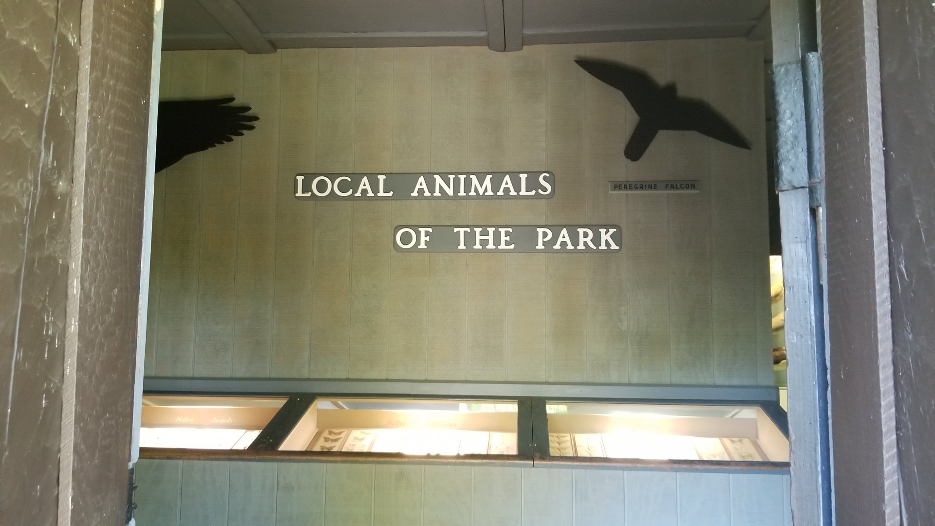 Bear Mountain - Local Animals of the Park museum