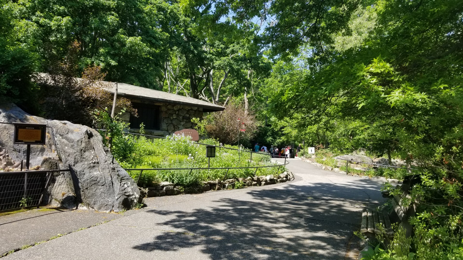 Bear Mountain - Looking past beaver to taxidermy museum