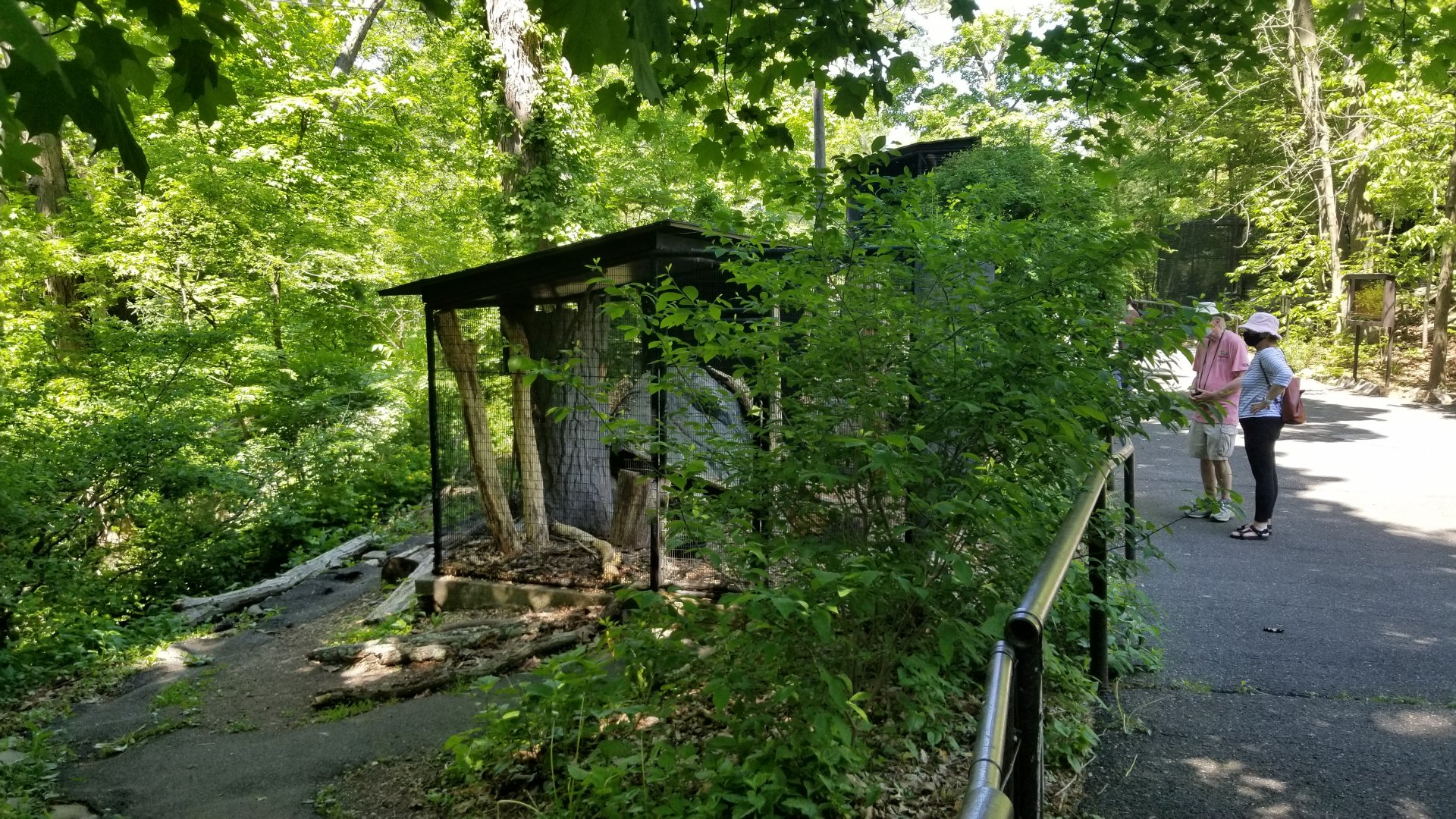 Bear Mountain - Outside exit from taxidermy museum