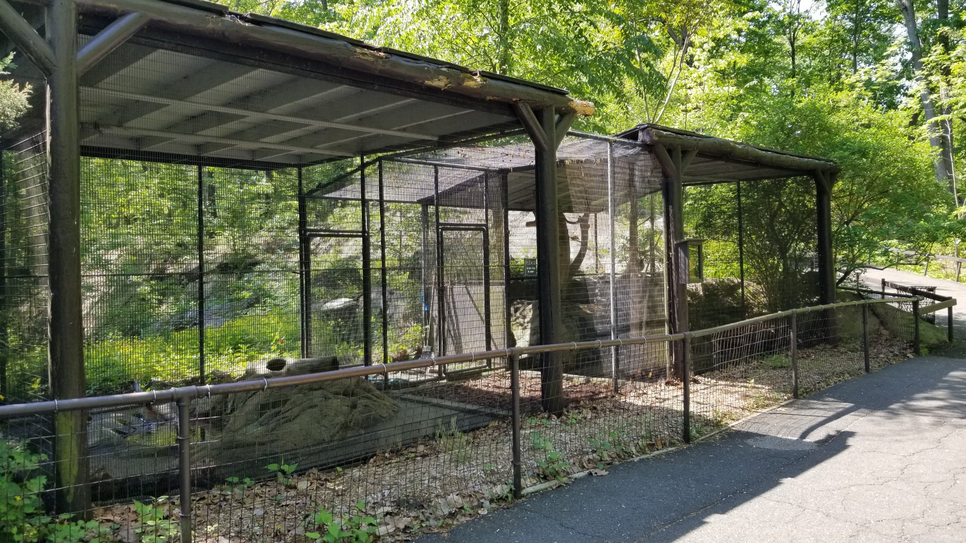 Bear Mountain - Red fox exhibit