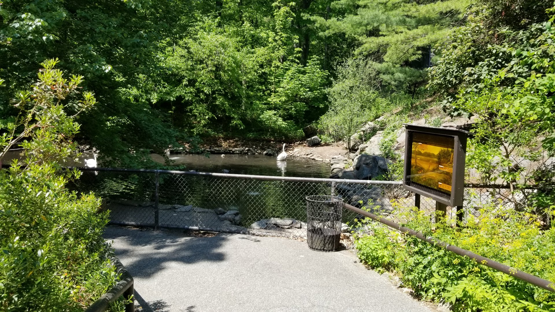 Bear Mountain - Waterfowl pond