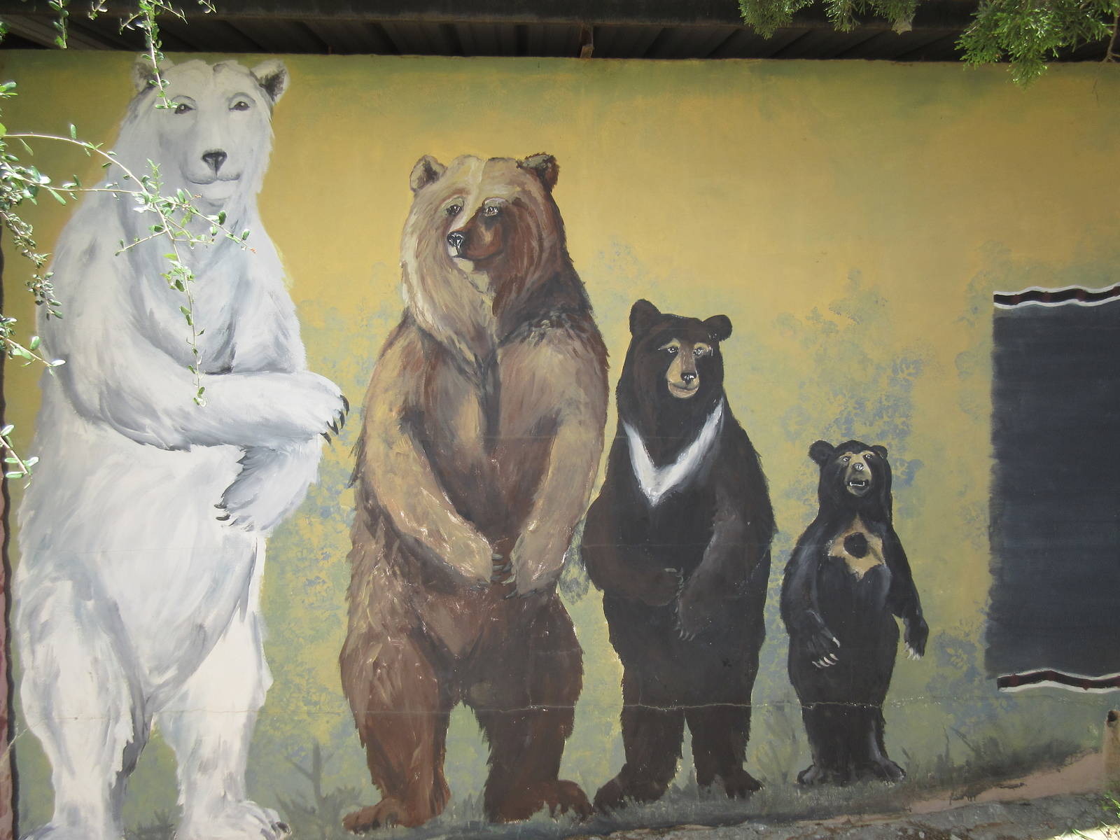 Bear Mural