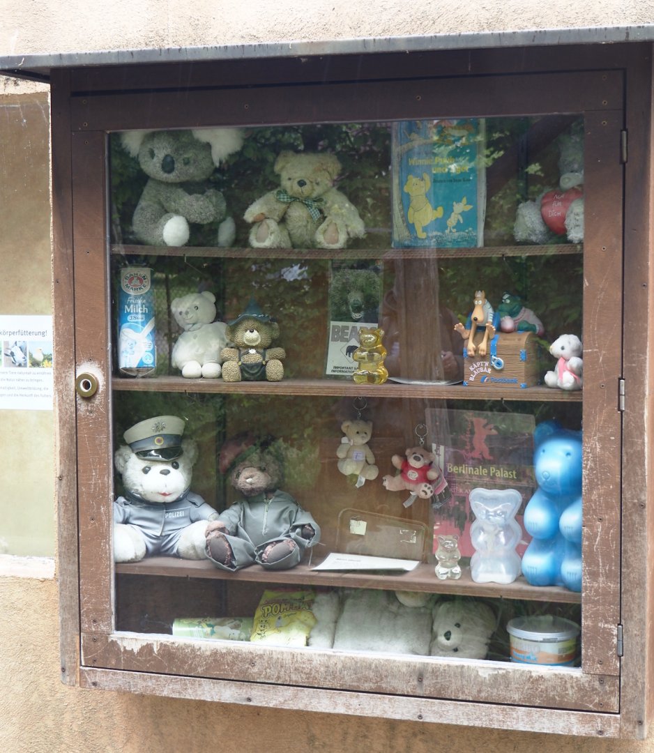 Bear objects (And a non-bear object) display, 2025-05-22