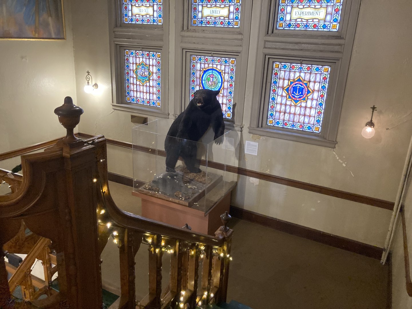 Bear on the stairs