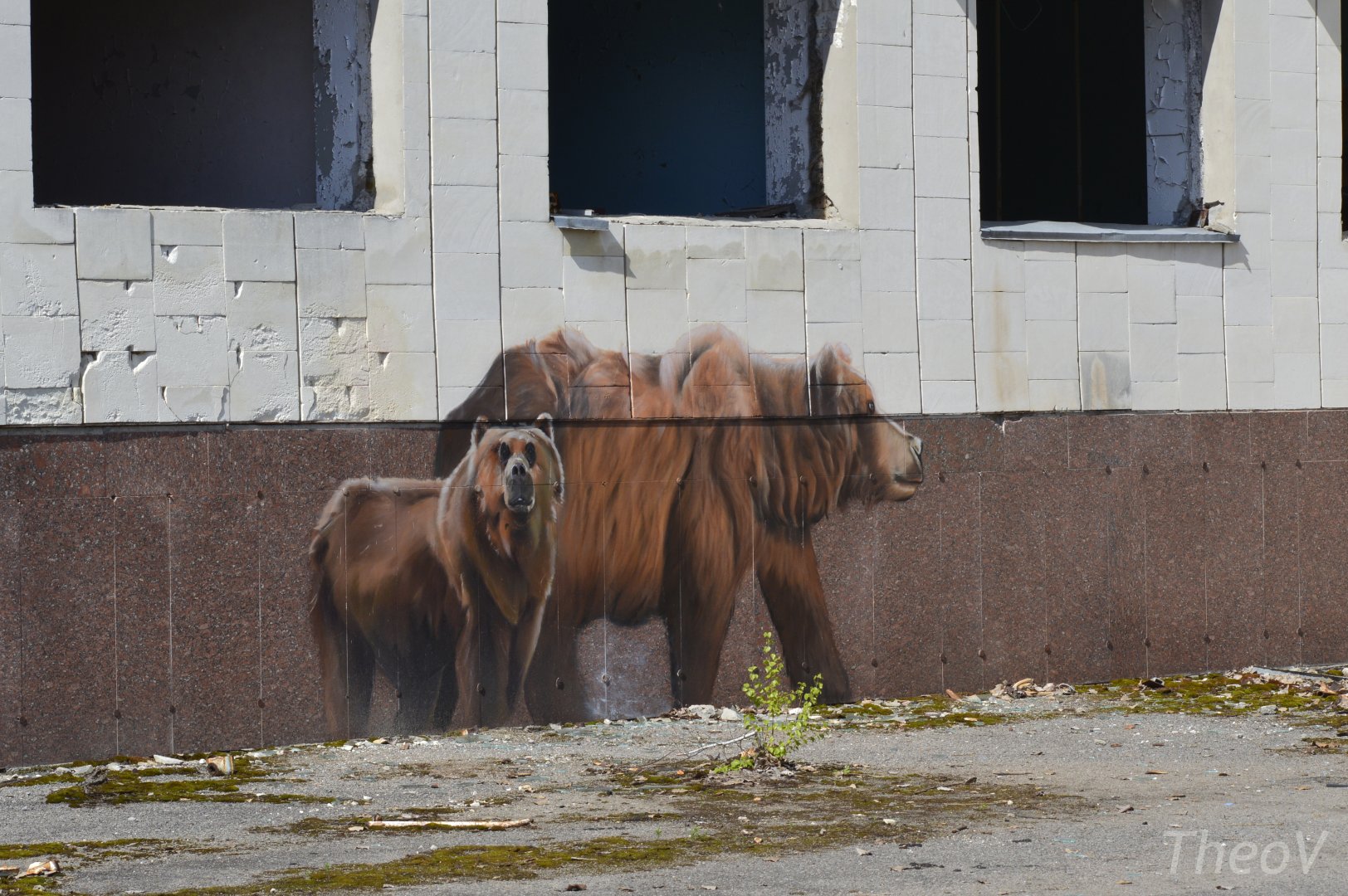 Bear painting - Pripyat [2019]