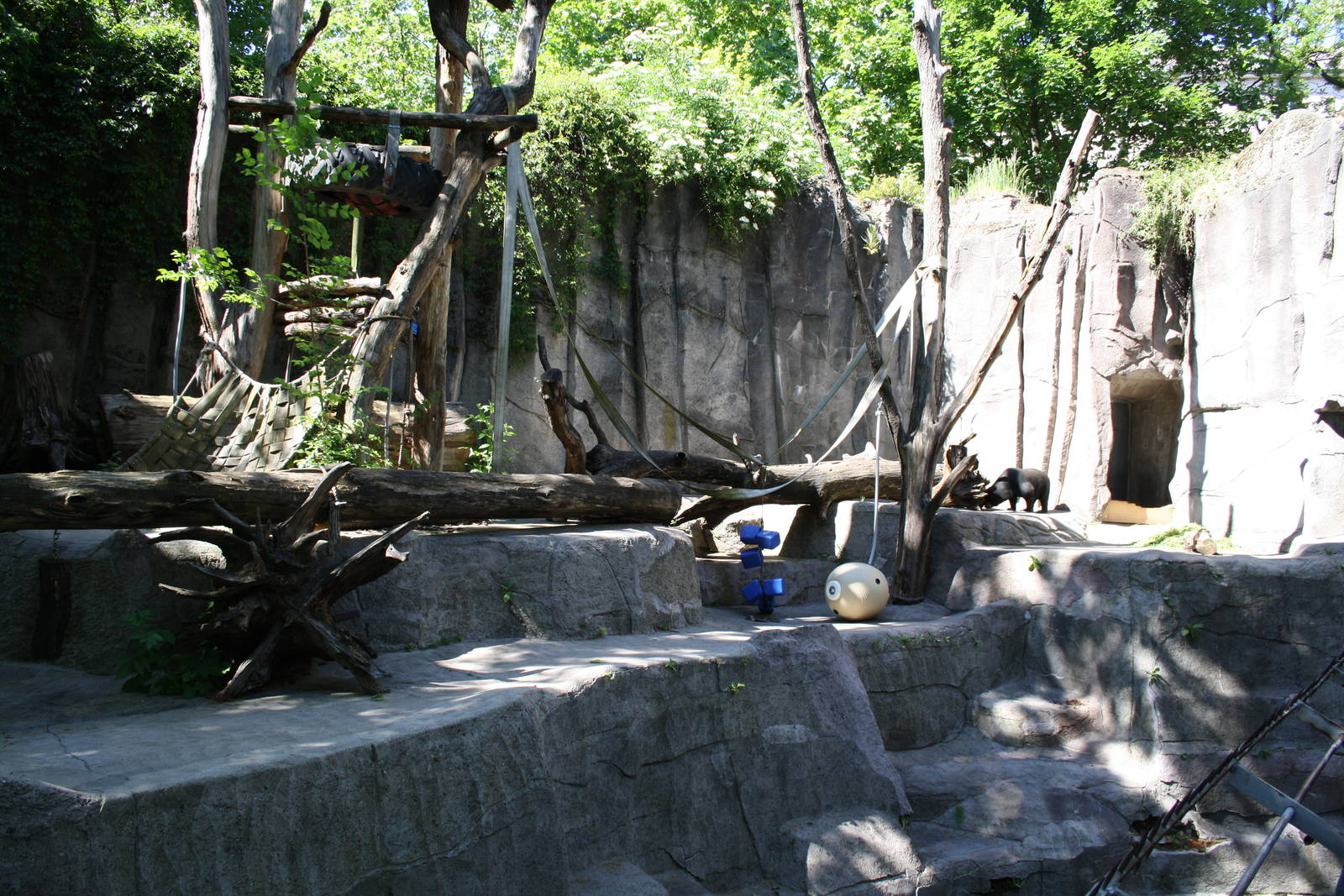 Bear pit - 4 June 2010