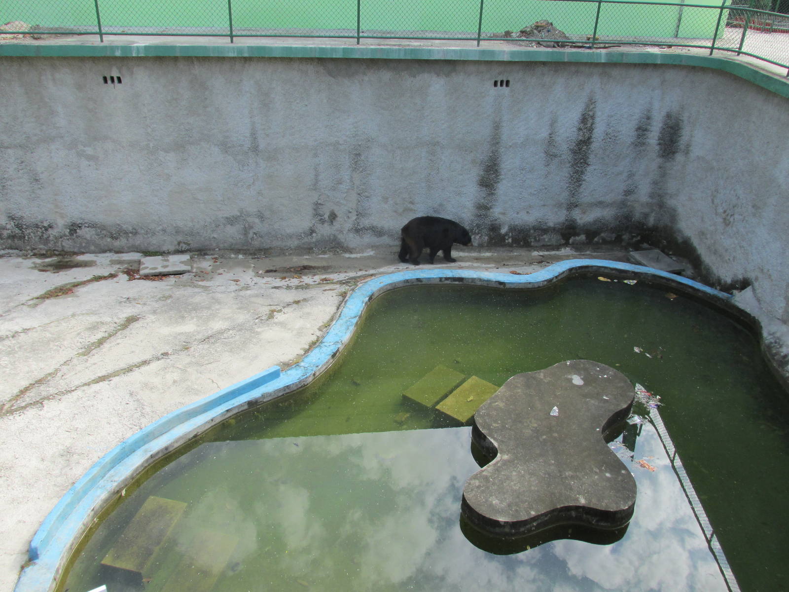 bear pit havana zoo