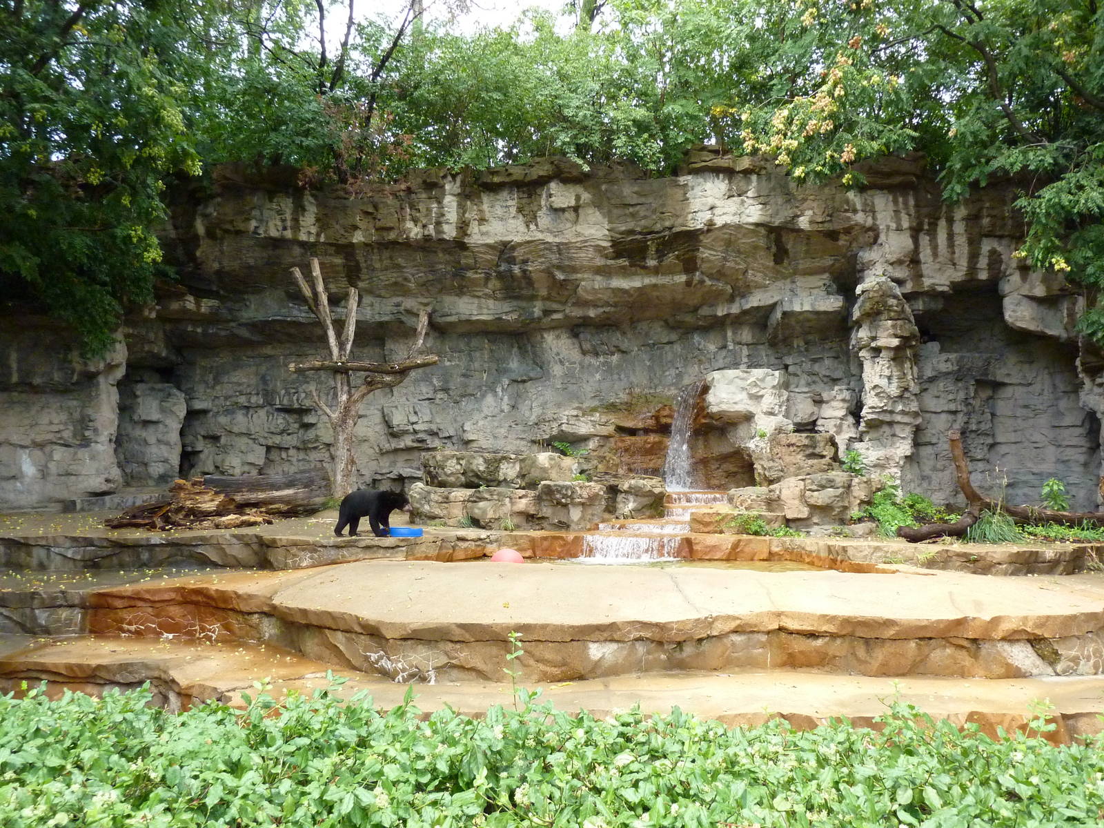 Bear Pits - Built In 1921 - Sun Bear Exhibit
