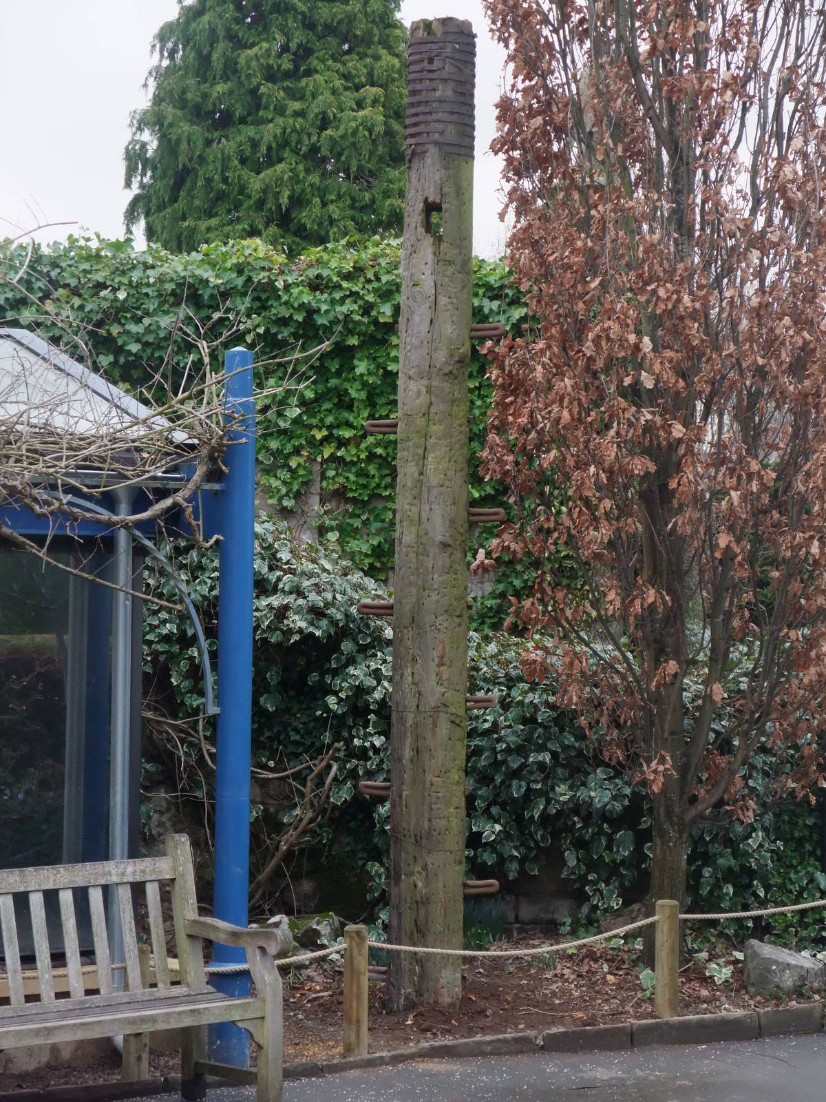 Bear Pole at Bristol, 06/02/12