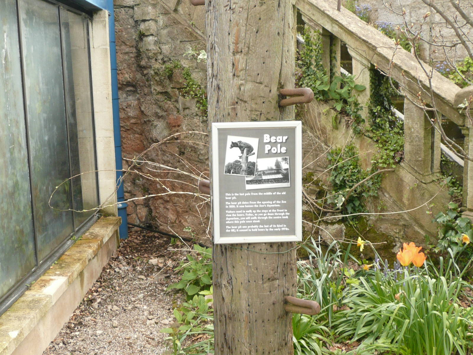 Bear Pole outside Aquarium